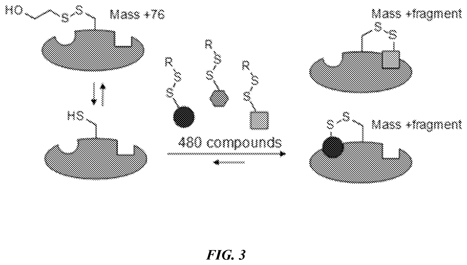 Patent US12365693 Figure 3 – Compositions and methods for treating cancer