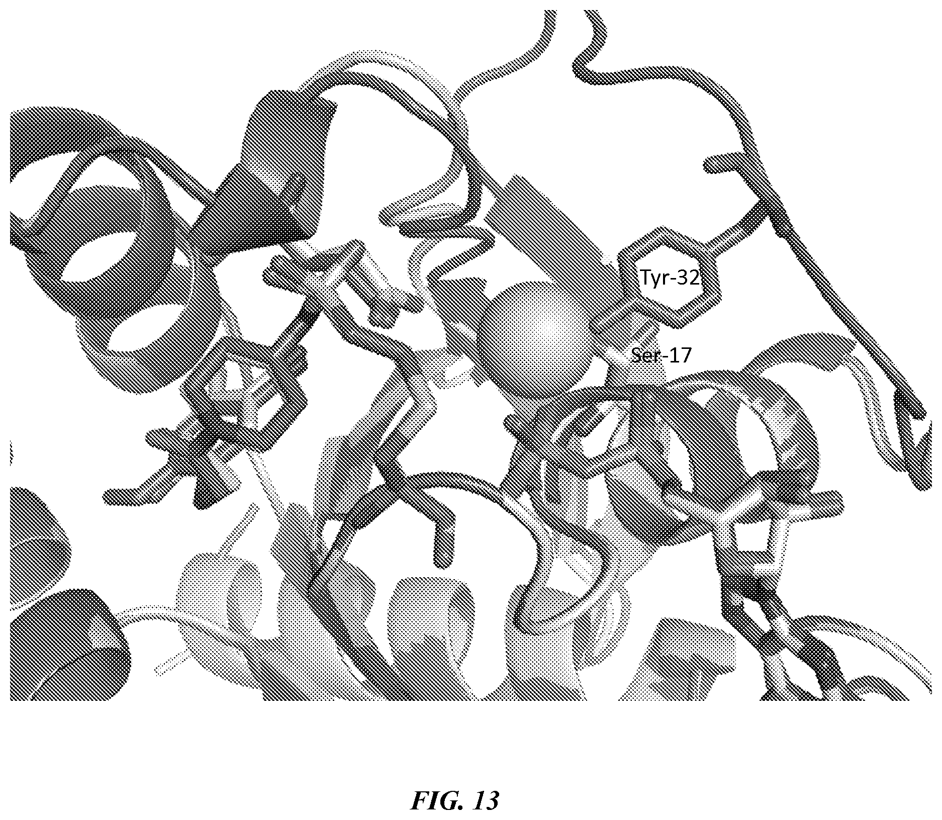 Patent US12365693 Figure 16 – Compositions and methods for treating cancer