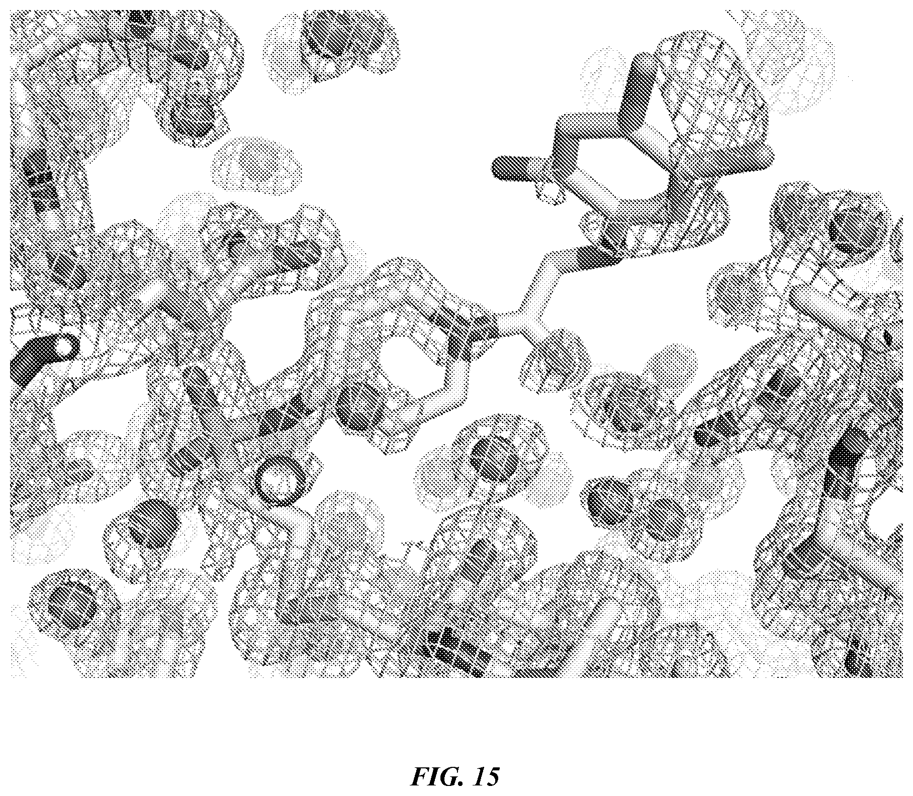 Patent US12365693 Figure 19 – Compositions and methods for treating cancer
