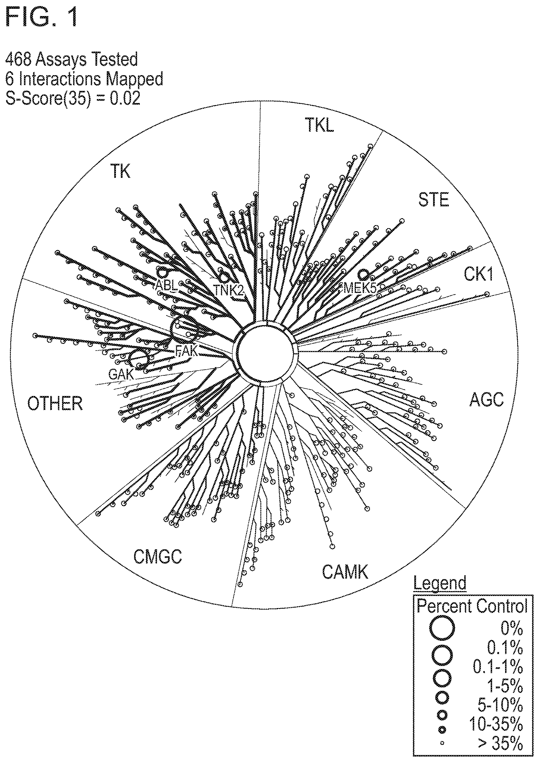 Patent US12365696 — Small-molecule focal adhesion kinase (FAK) inhibitors — Figure 1