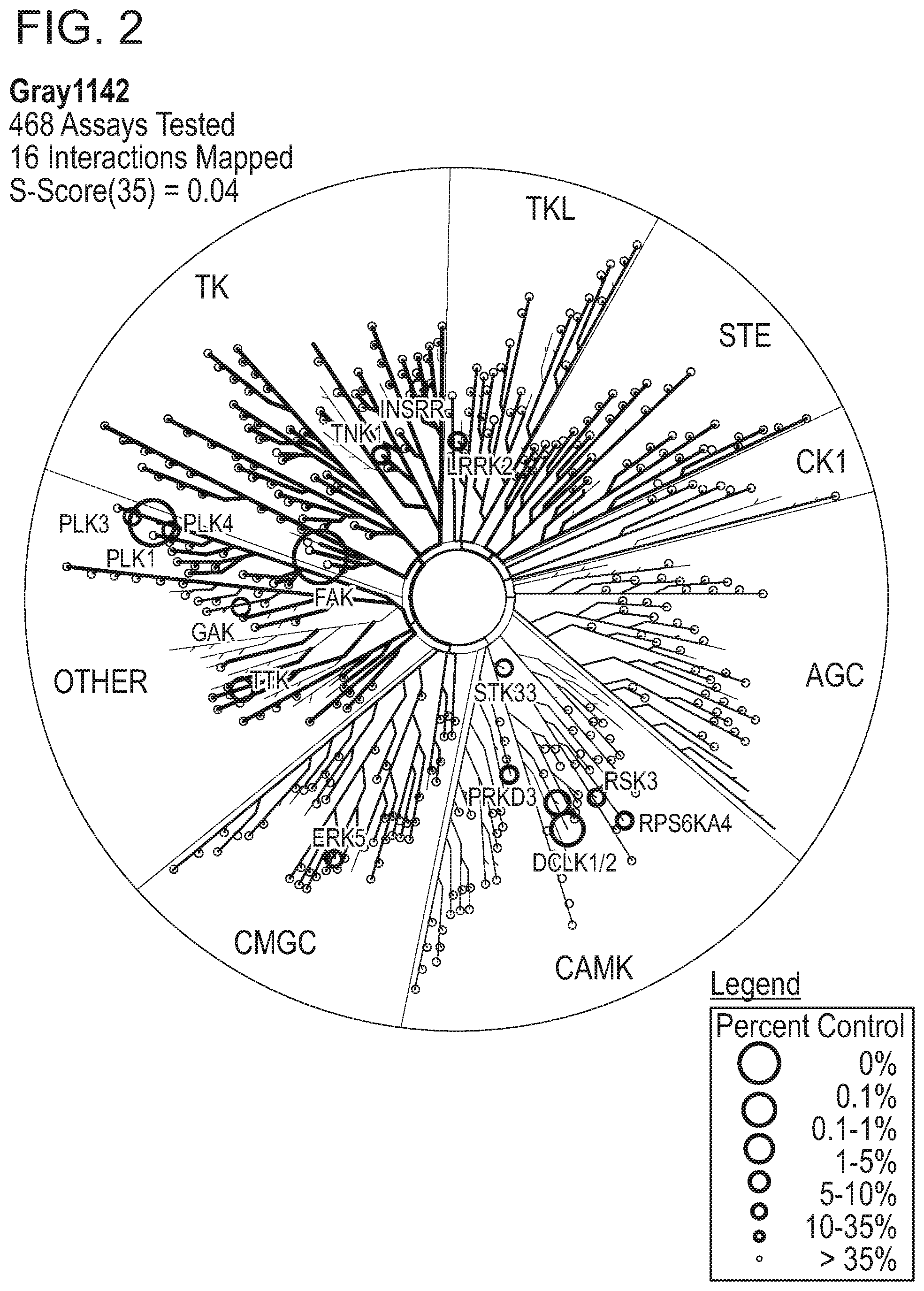 Patent US12365696 Figure 2 – Small-molecule focal adhesion kinase (FAK) inhibitors