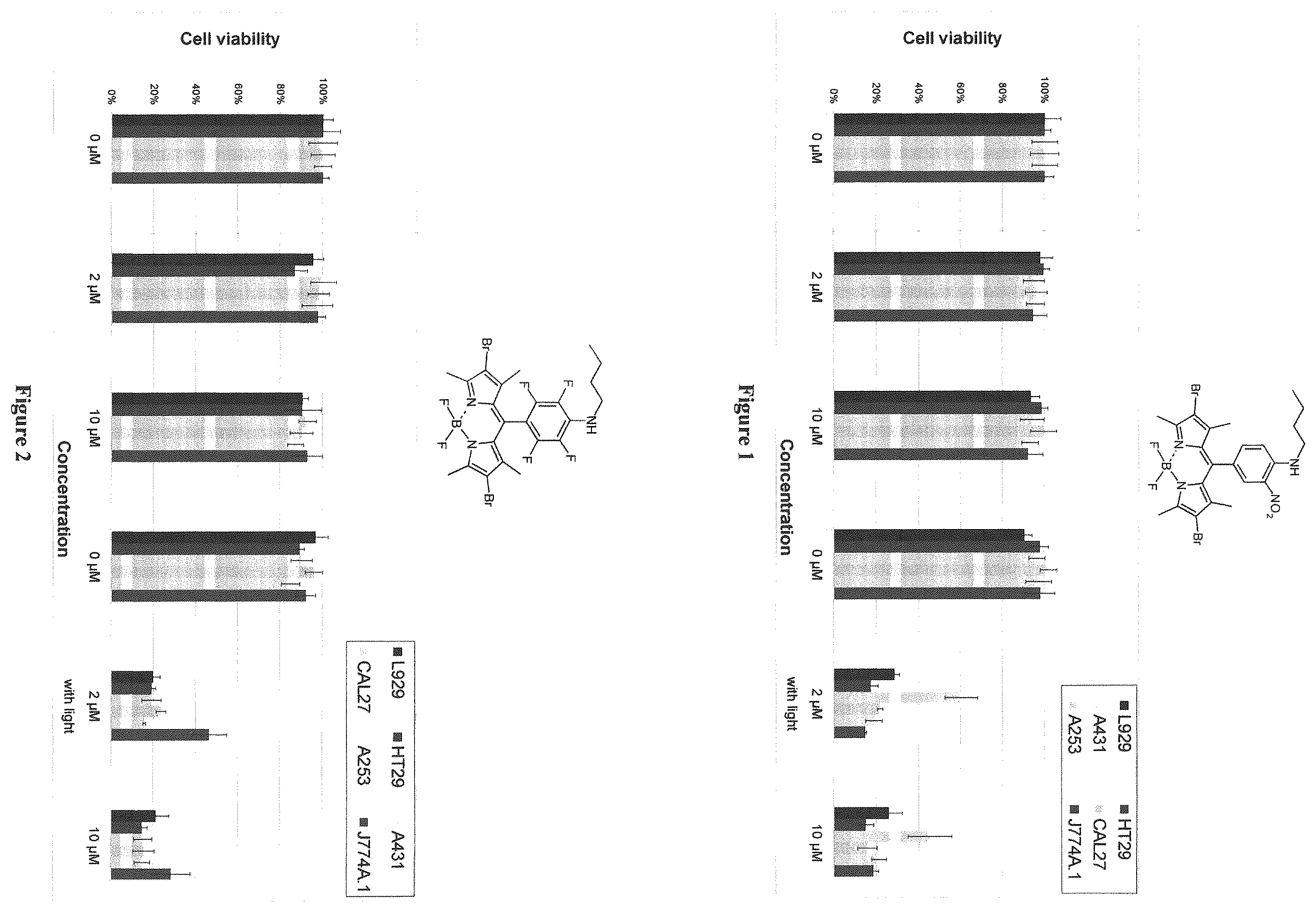 Patent US12365698 Figure 1 – Application of boron dipyrromethene derivatives in anti-tumor and anti-bacterial therapy