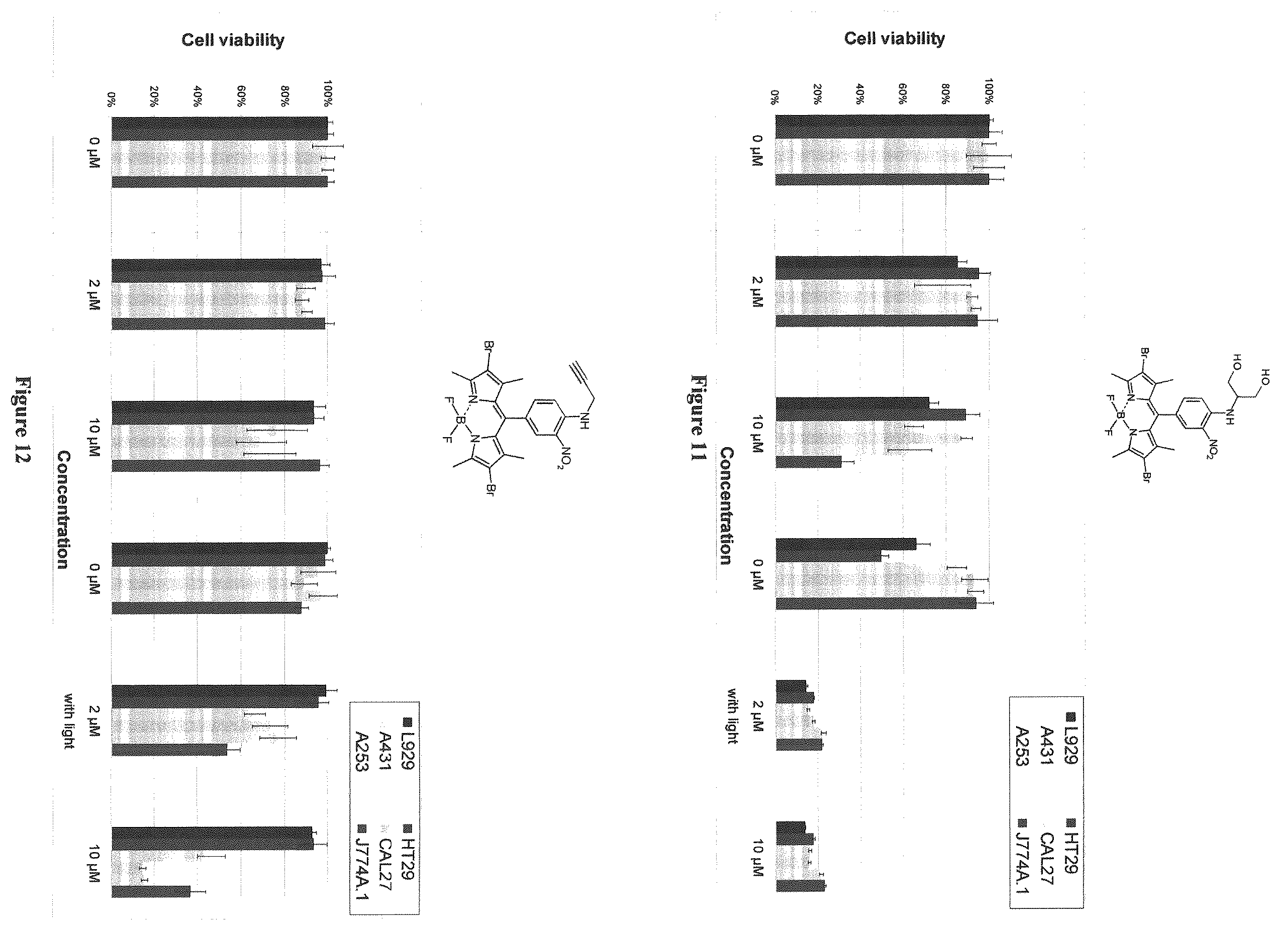 Patent US12365698 Figure 6 – Application of boron dipyrromethene derivatives in anti-tumor and anti-bacterial therapy