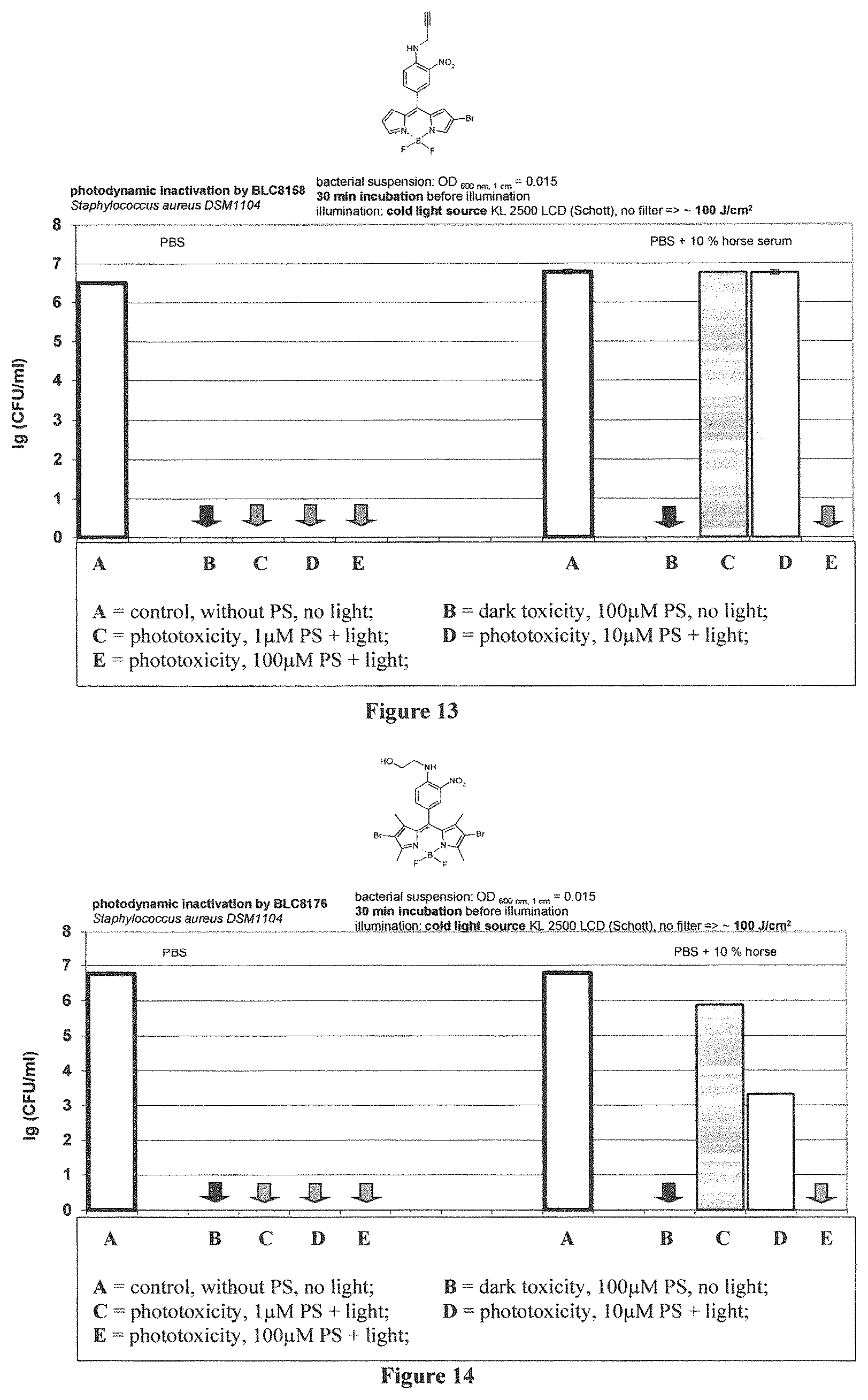 Patent US12365698 Figure 7 – Application of boron dipyrromethene derivatives in anti-tumor and anti-bacterial therapy