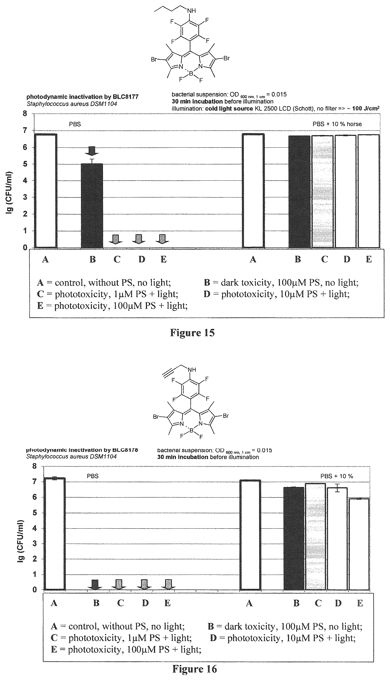 Patent US12365698 Figure 8 – Application of boron dipyrromethene derivatives in anti-tumor and anti-bacterial therapy
