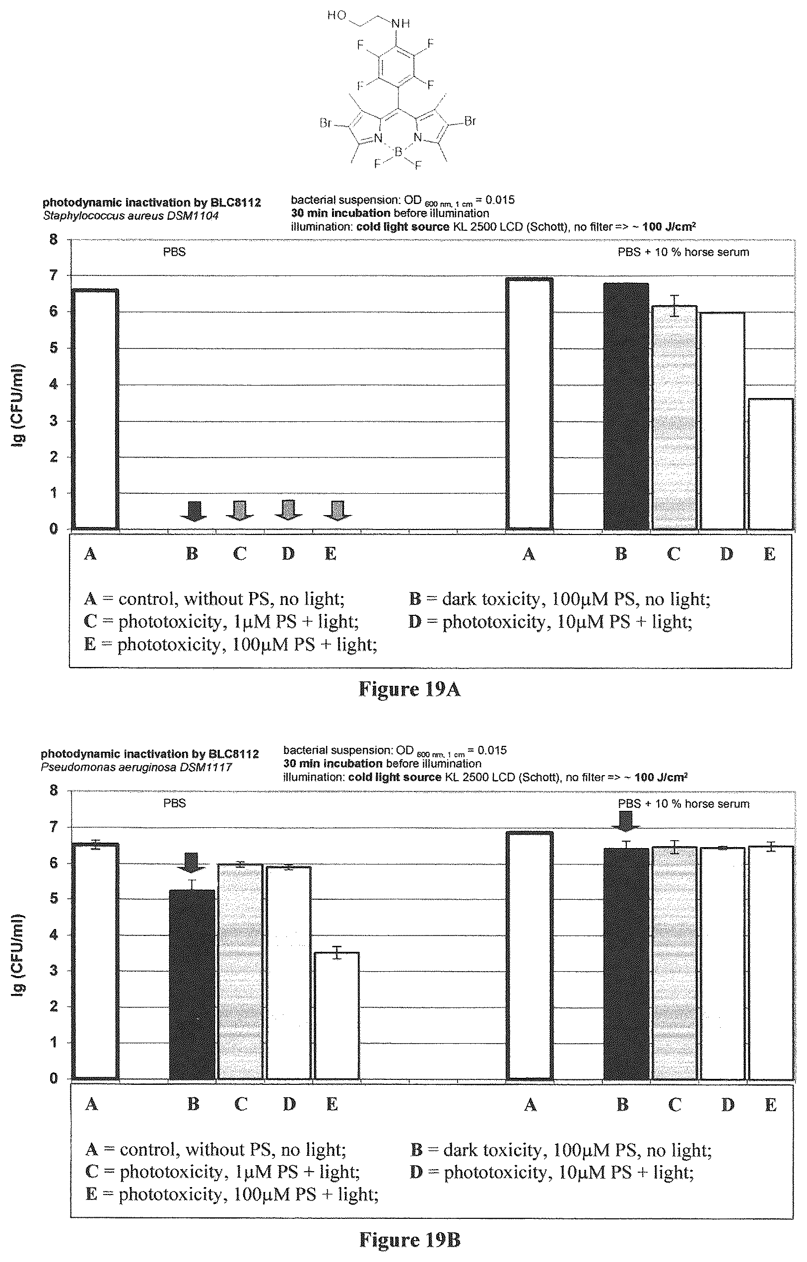 Patent US12365698 Figure 10 – Application of boron dipyrromethene derivatives in anti-tumor and anti-bacterial therapy