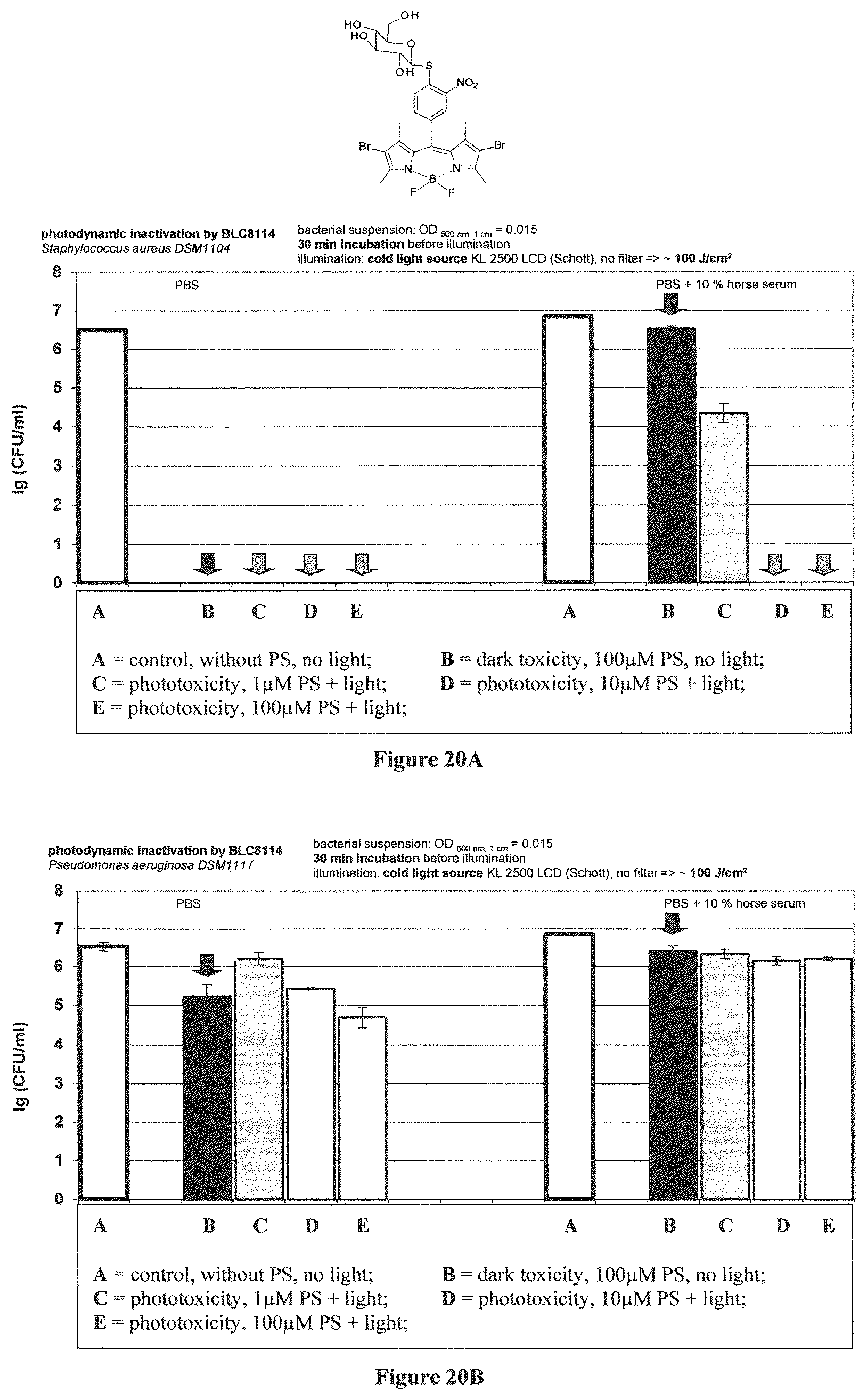 Patent US12365698 Figure 11 – Application of boron dipyrromethene derivatives in anti-tumor and anti-bacterial therapy