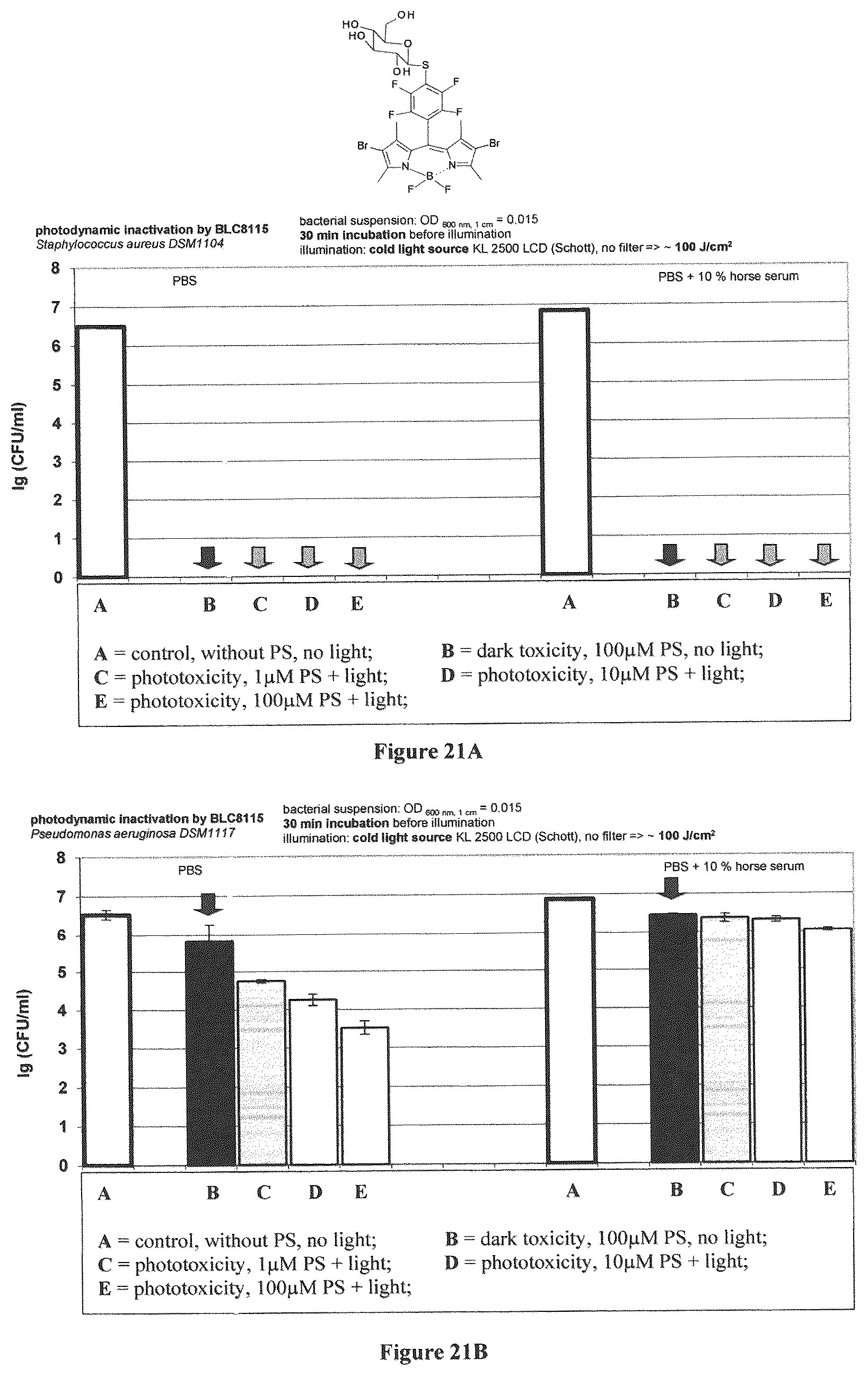 Patent US12365698 Figure 12 – Application of boron dipyrromethene derivatives in anti-tumor and anti-bacterial therapy