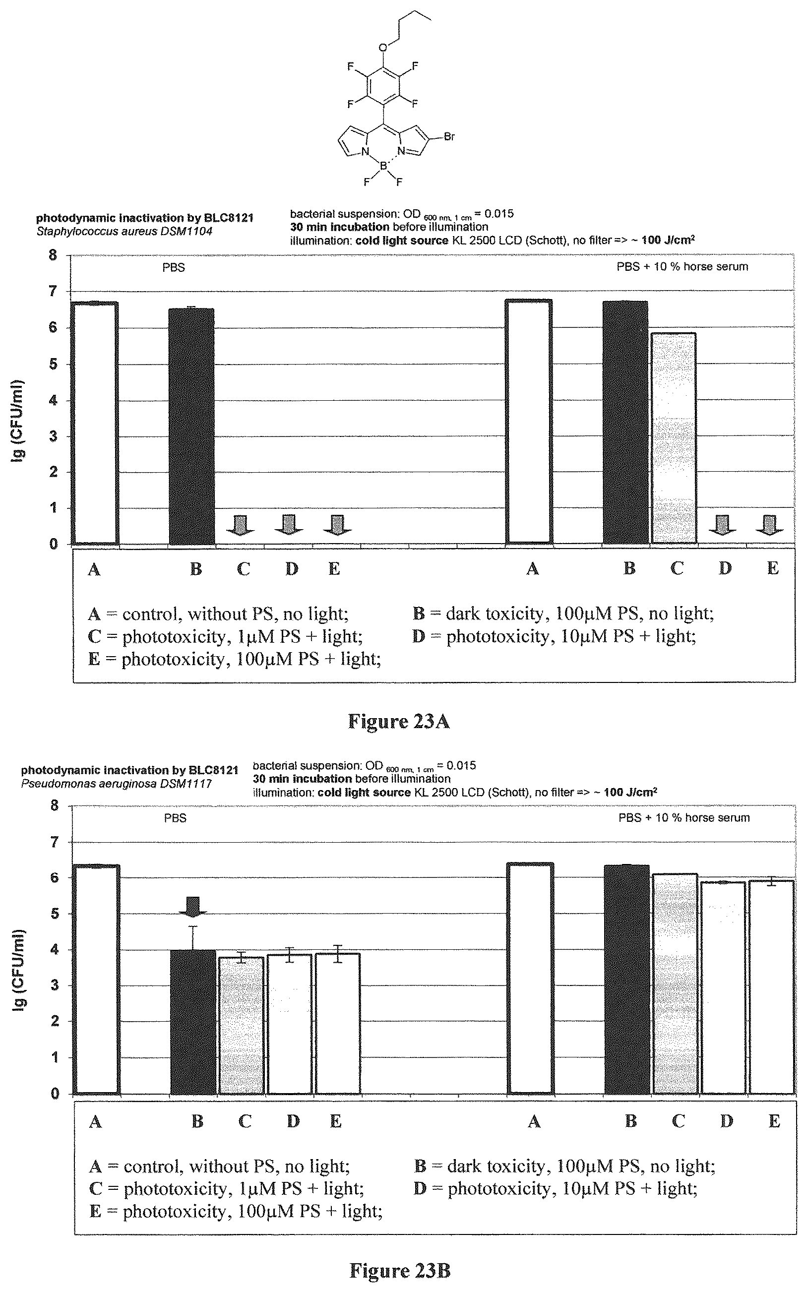 Patent US12365698 Figure 14 – Application of boron dipyrromethene derivatives in anti-tumor and anti-bacterial therapy