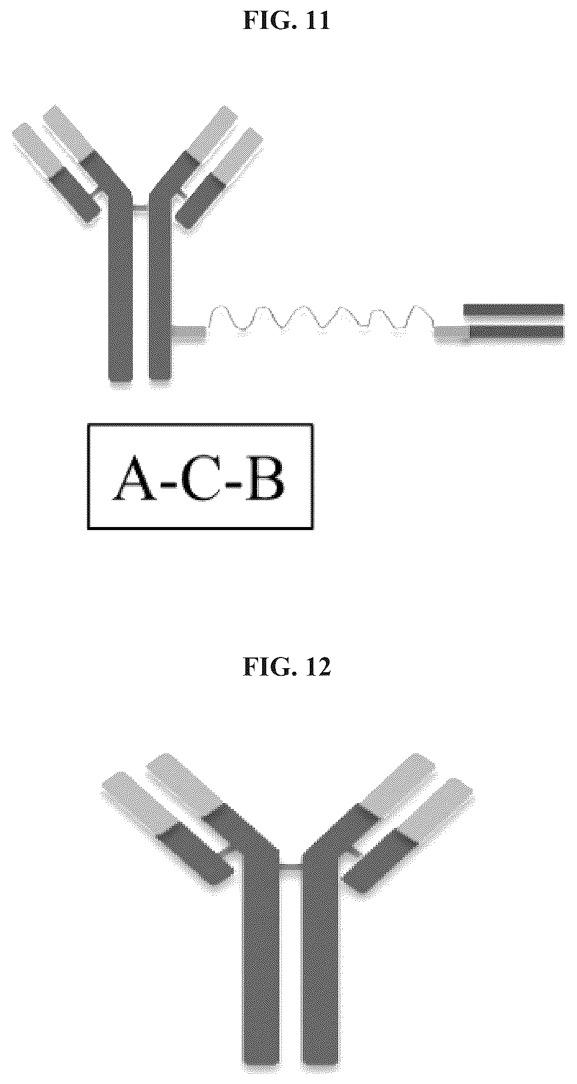 Patent US12365704 Figure 15 – Nucleic acid-polypeptide compositions and uses thereof
