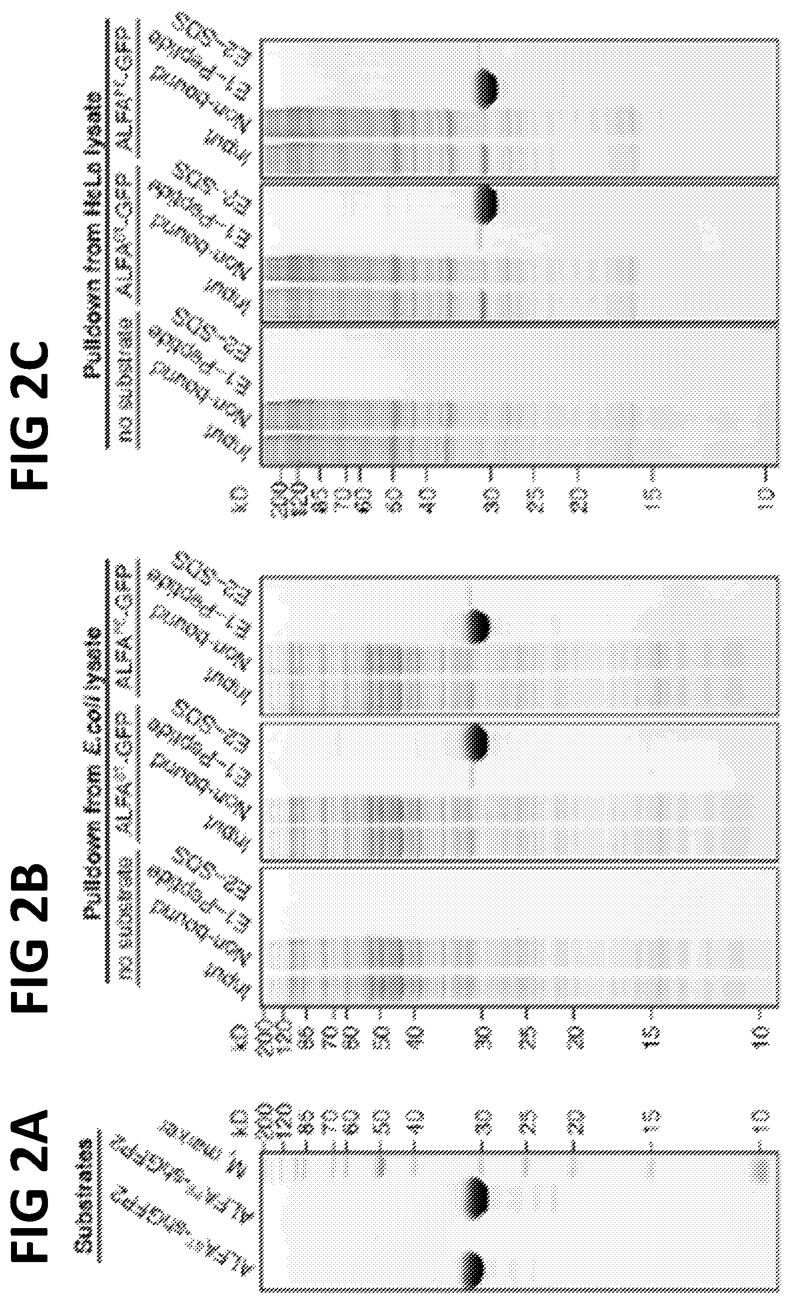 Patent US12365705 Figure 3 – Epitope tags recognized by specific binders