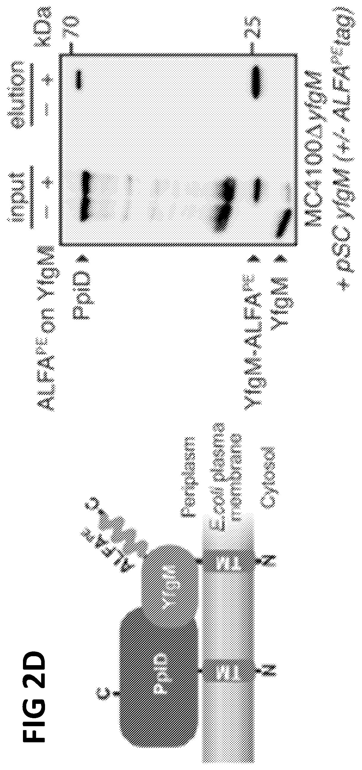 Patent US12365705 Figure 4 – Epitope tags recognized by specific binders