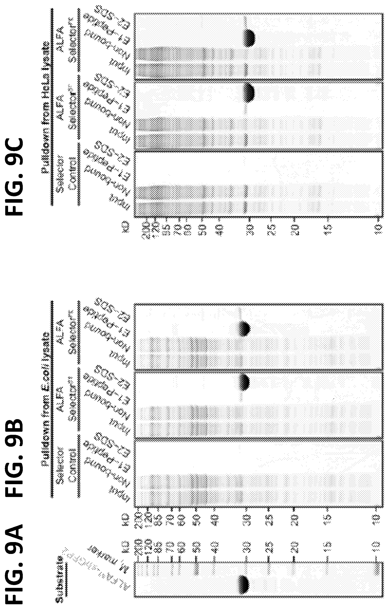 Patent US12365705 Figure 14 – Epitope tags recognized by specific binders