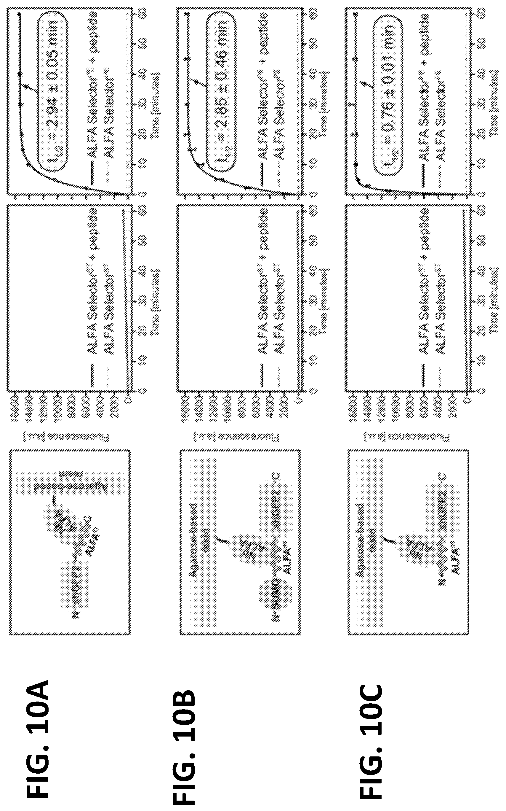 Patent US12365705 Figure 16 – Epitope tags recognized by specific binders
