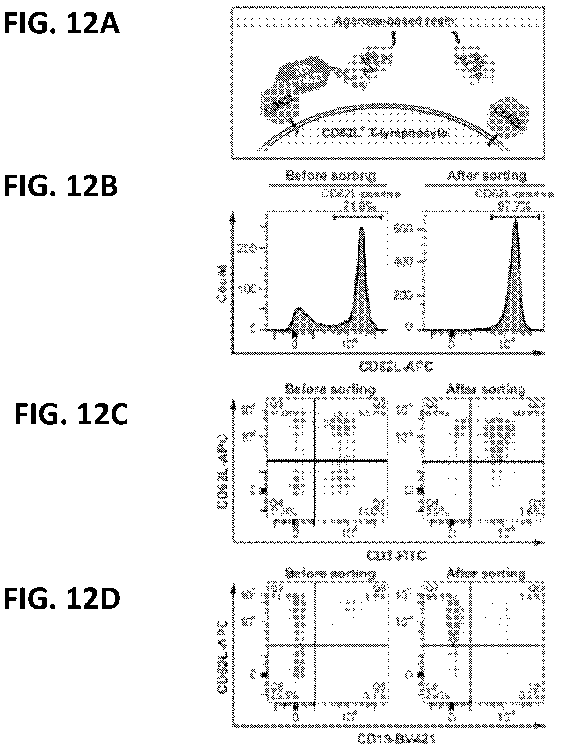 Patent US12365705 Figure 18 – Epitope tags recognized by specific binders
