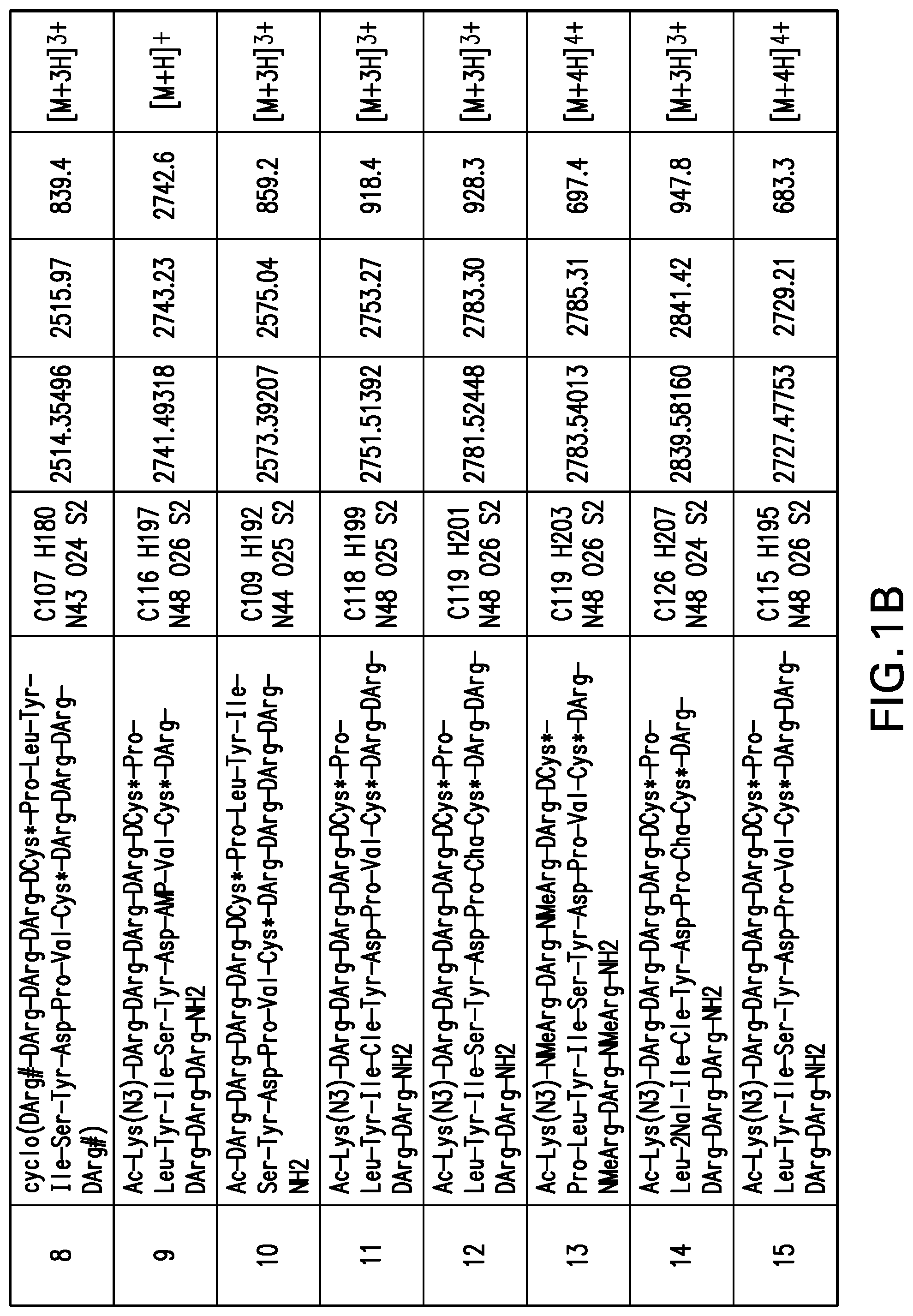 Patent US12365706 Figure 2 – Macrocyclic peptides as potent inhibitors of K-RAS G12D mutant