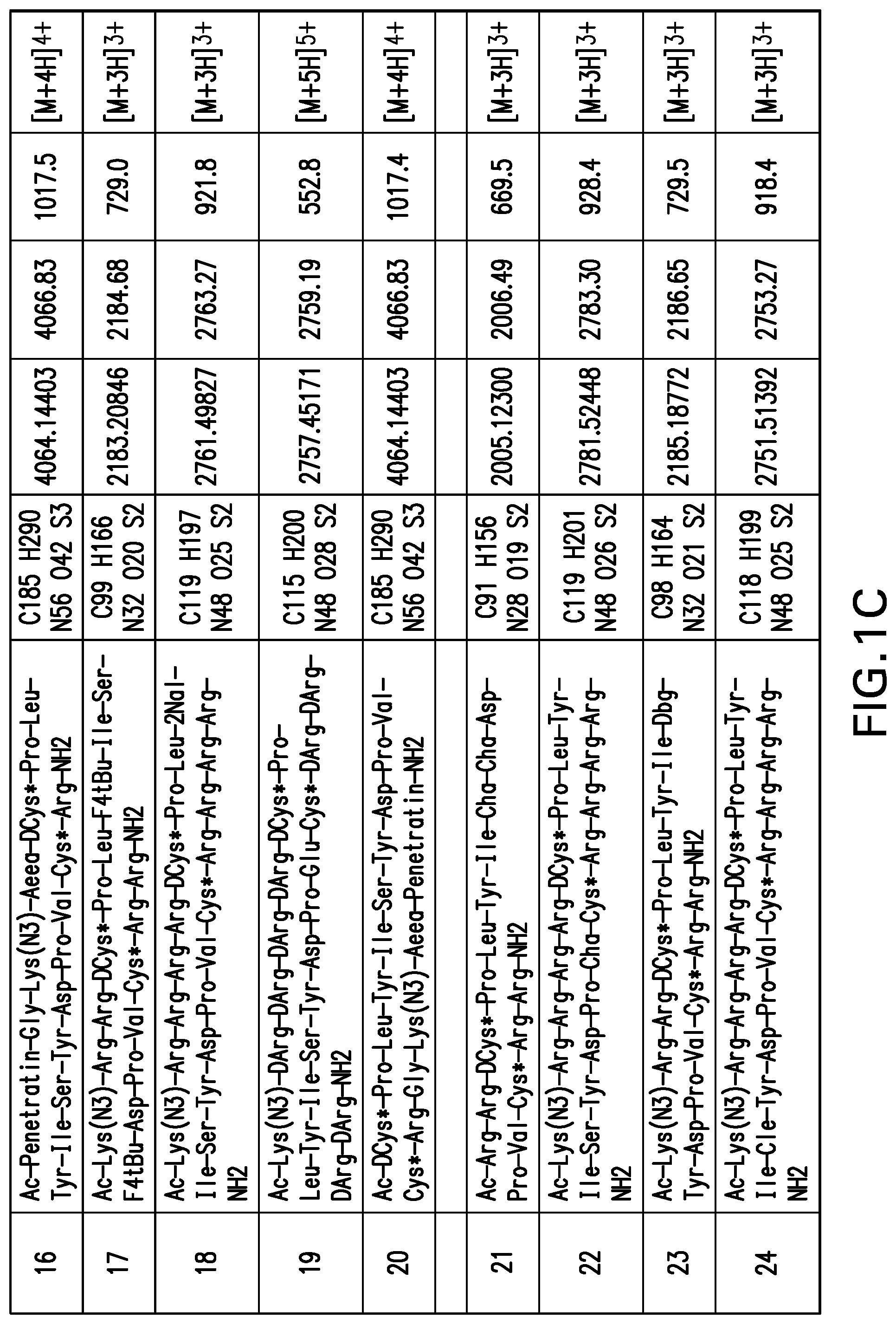 Patent US12365706 Figure 3 – Macrocyclic peptides as potent inhibitors of K-RAS G12D mutant