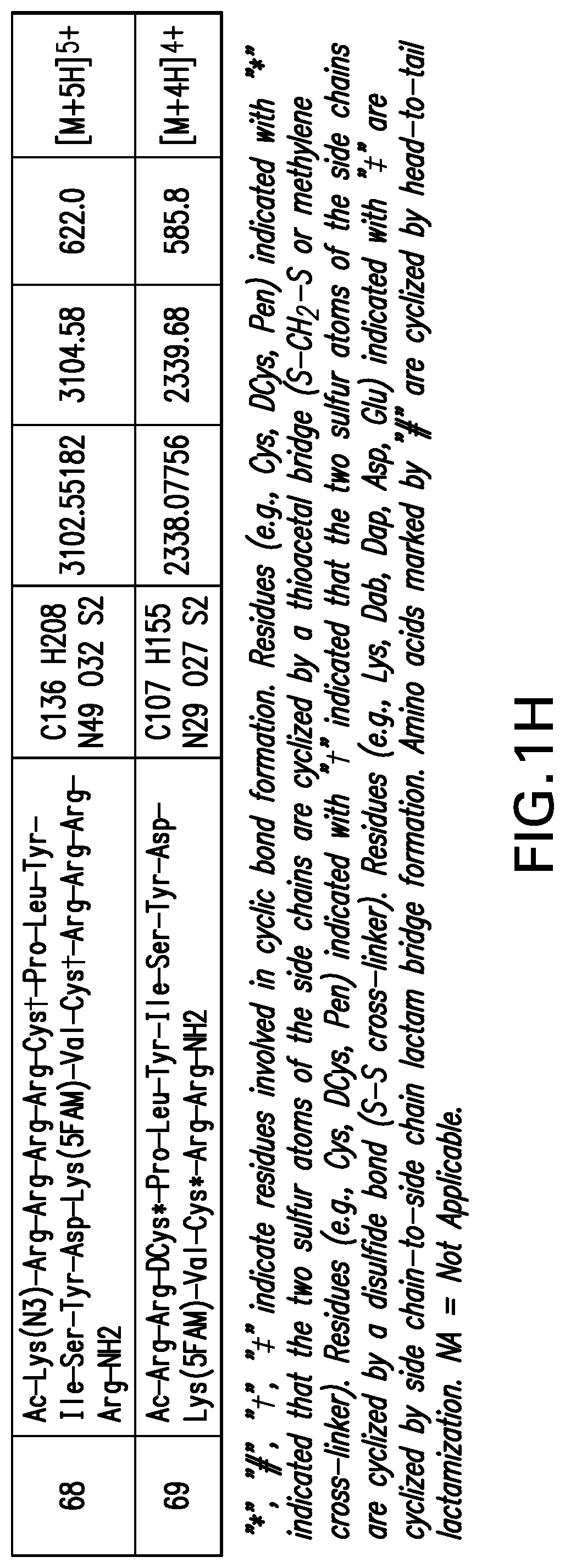 Patent US12365706 Figure 8 – Macrocyclic peptides as potent inhibitors of K-RAS G12D mutant