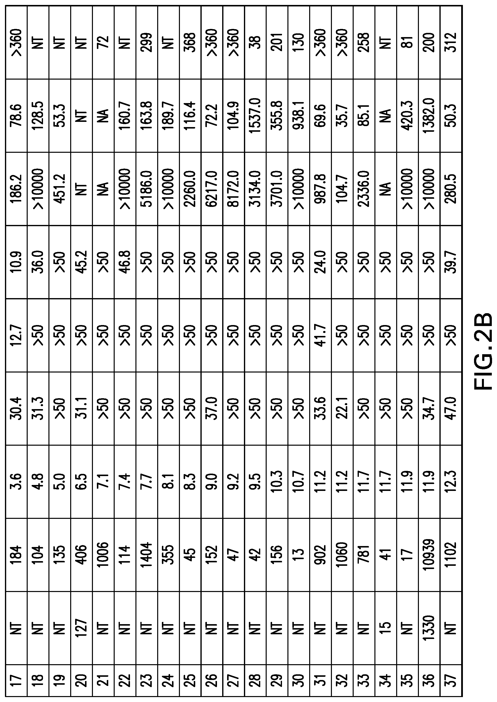 Patent US12365706 Figure 10 – Macrocyclic peptides as potent inhibitors of K-RAS G12D mutant