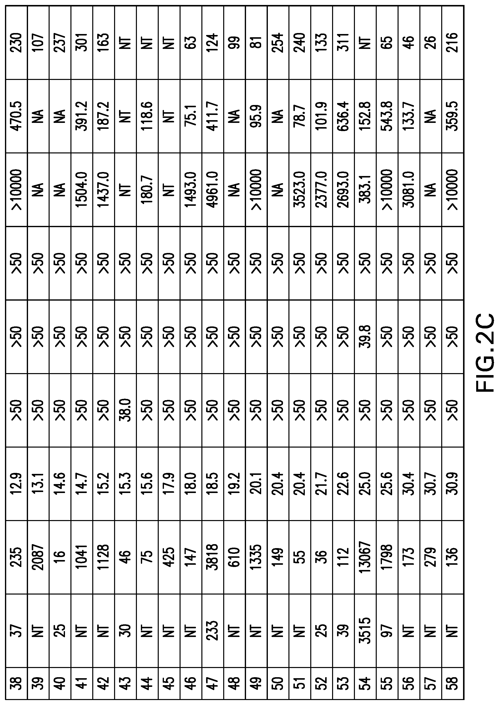 Patent US12365706 Figure 11 – Macrocyclic peptides as potent inhibitors of K-RAS G12D mutant