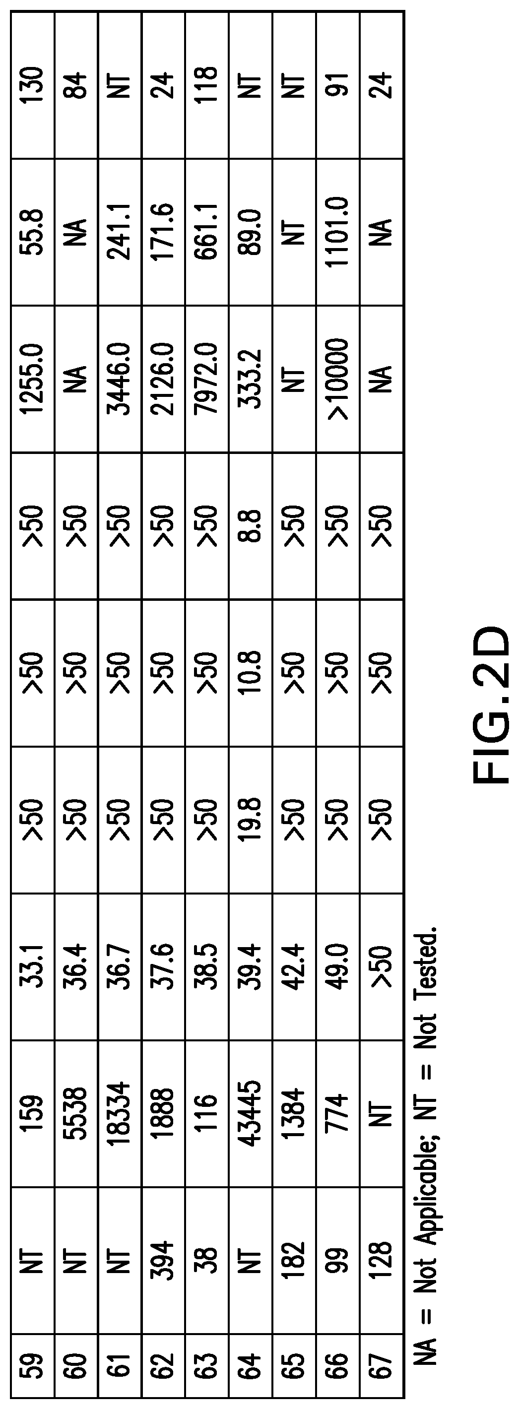 Patent US12365706 Figure 12 – Macrocyclic peptides as potent inhibitors of K-RAS G12D mutant