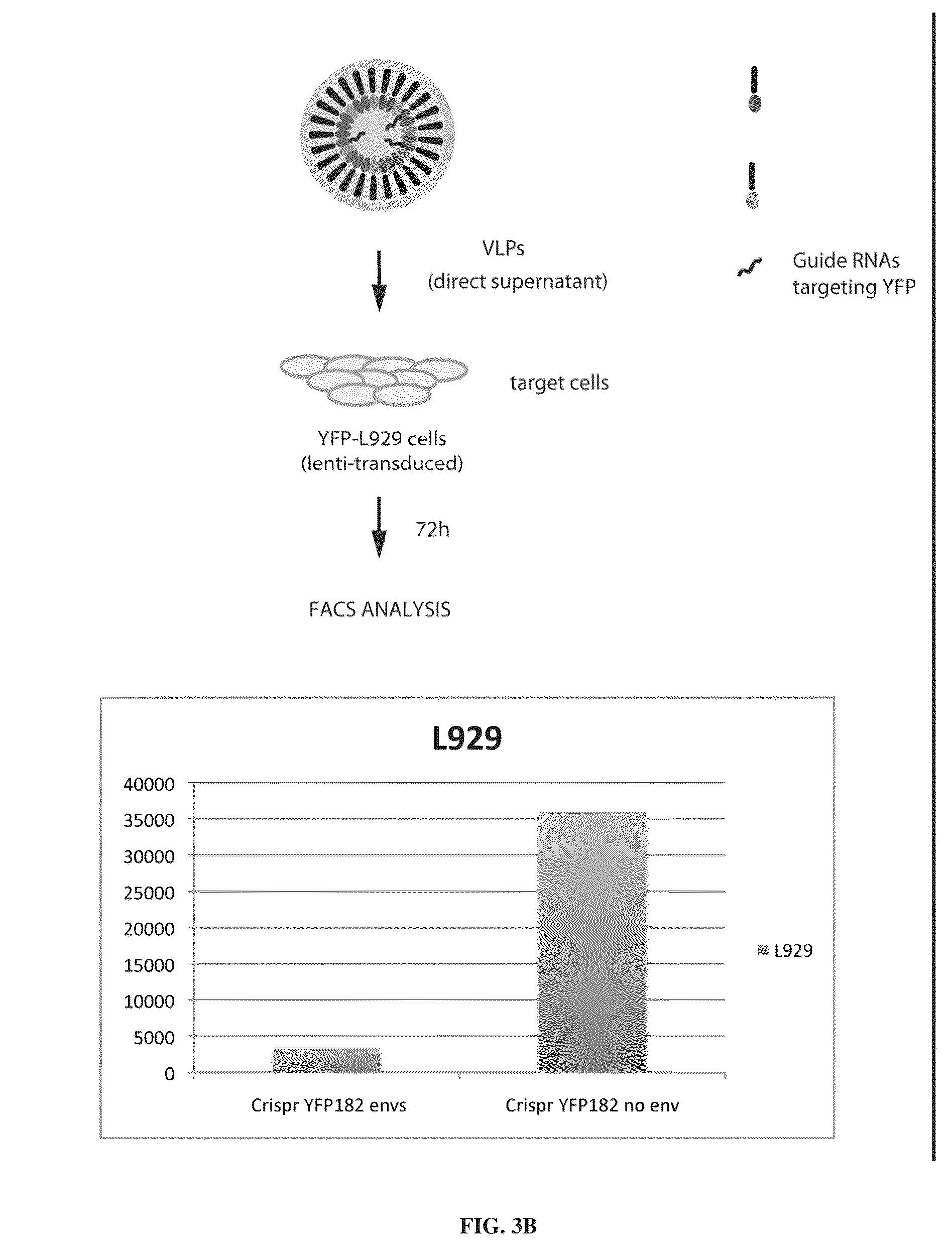 Patent US12365707 Figure 6 – Methods and products for genetic engineering