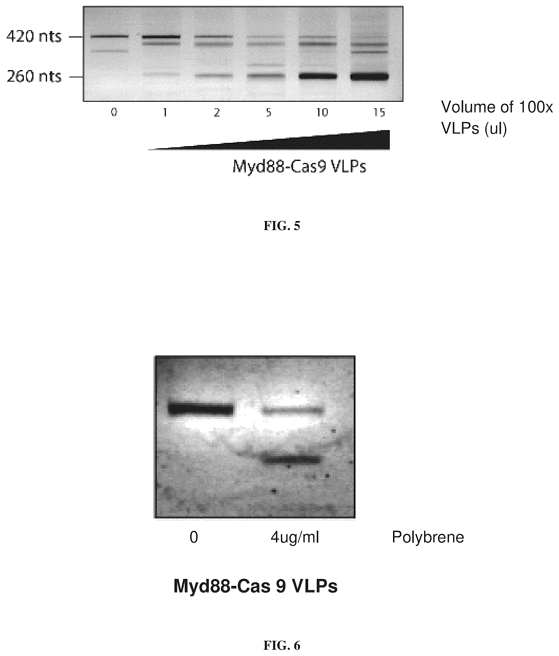 Patent US12365707 Figure 10 – Methods and products for genetic engineering