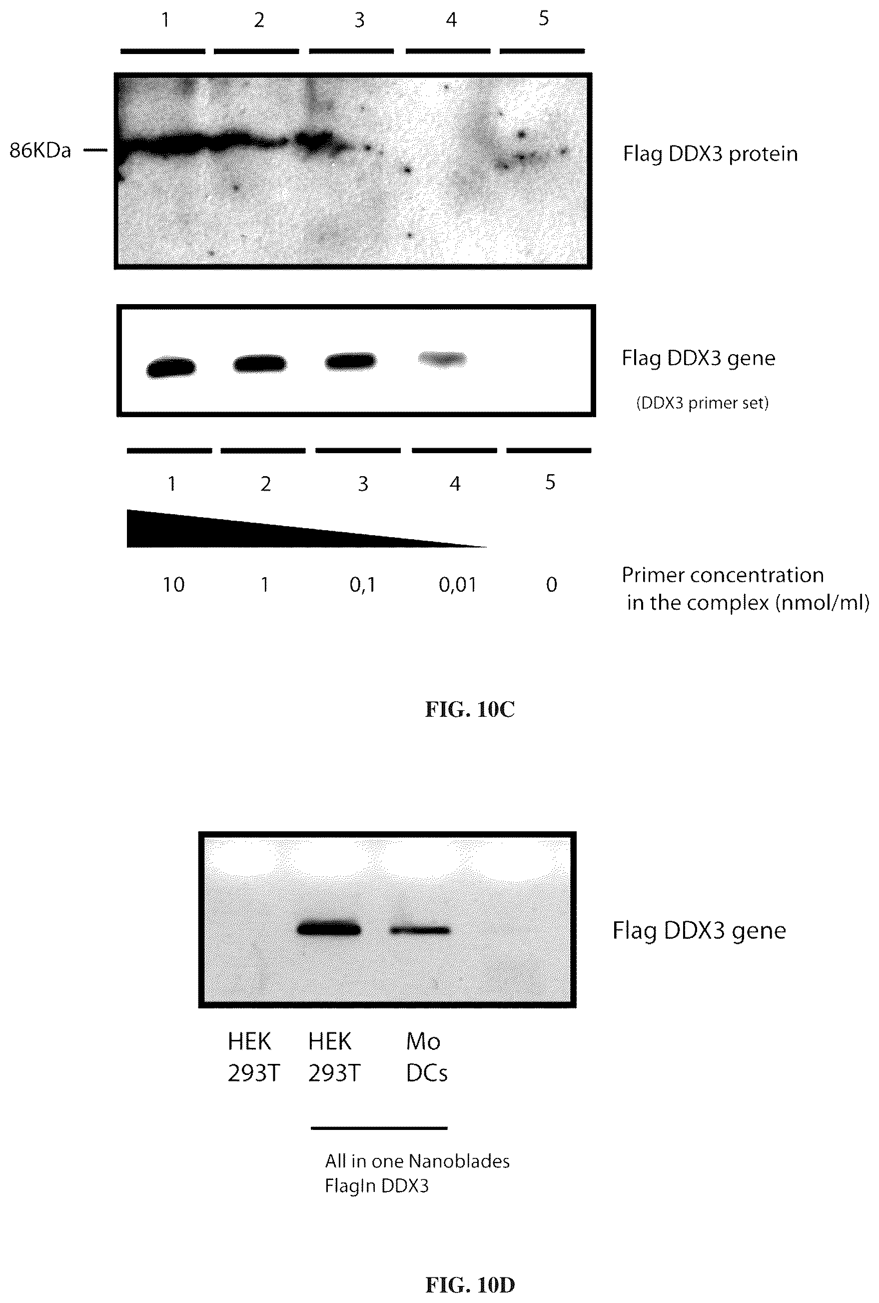 Patent US12365707 Figure 14 – Methods and products for genetic engineering