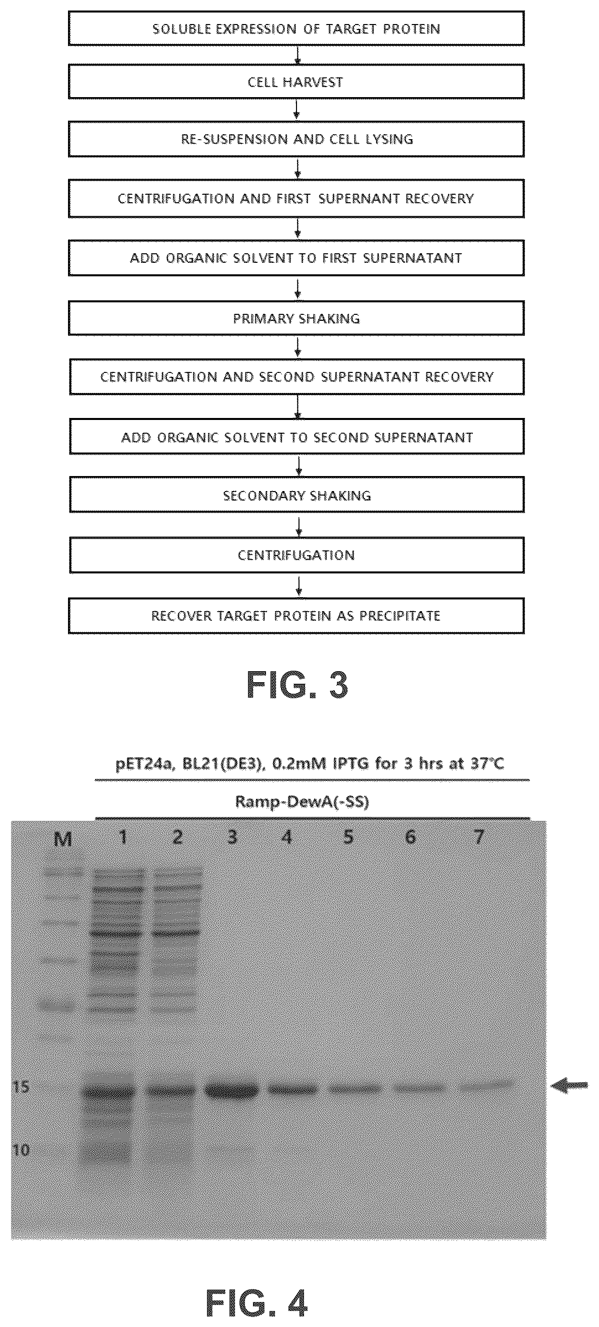 Patent US12365708 Figure 2 – Method for soluble expression and purification of hydrophobin