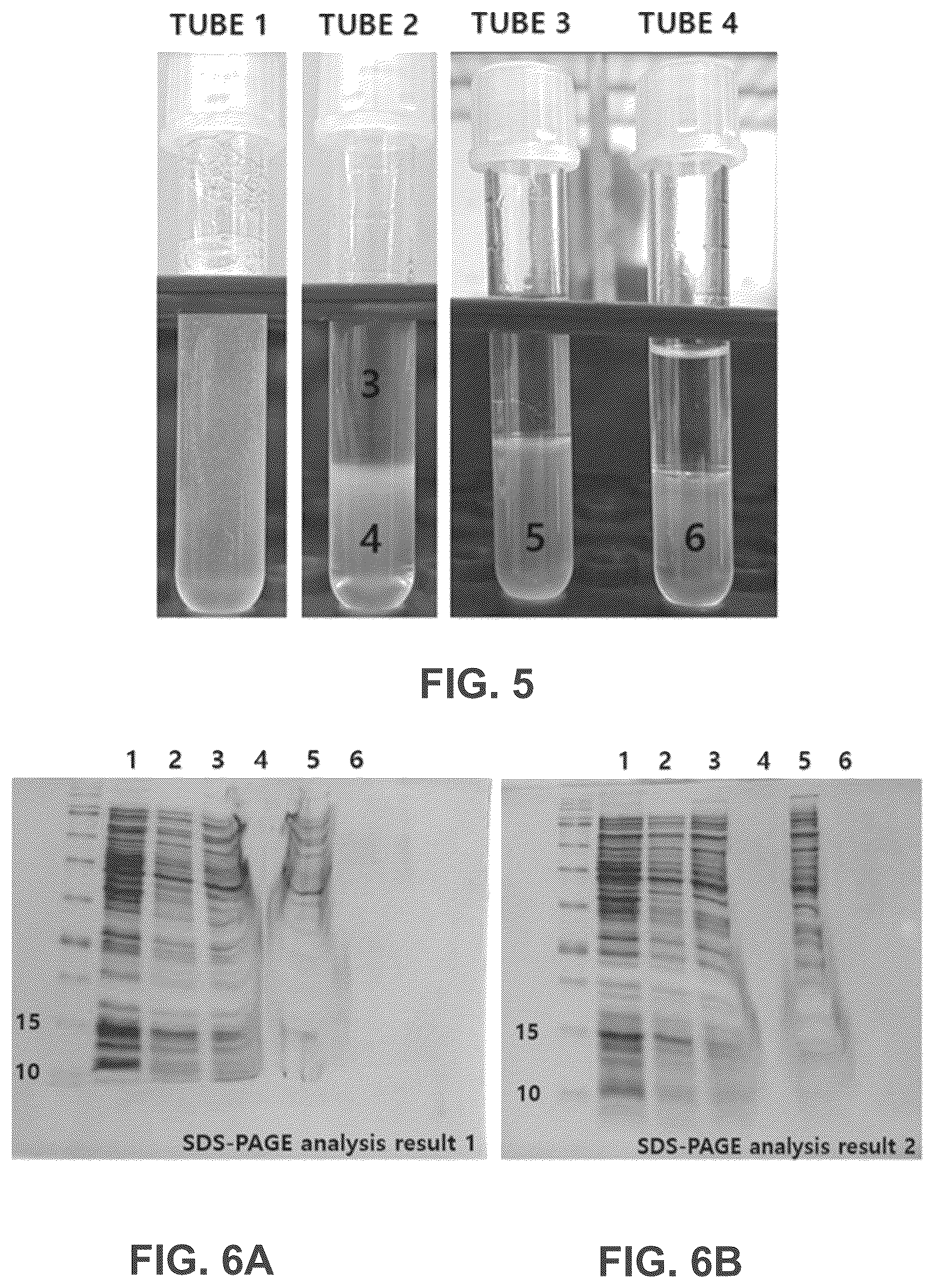 Patent US12365708 Figure 3 – Method for soluble expression and purification of hydrophobin