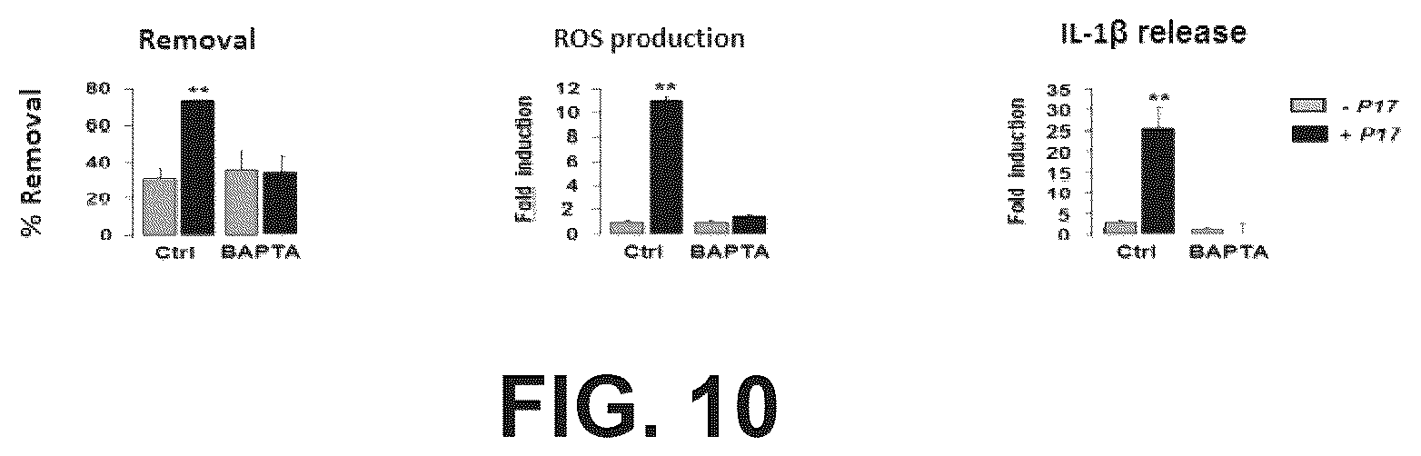 Patent US12365709 Figure 5 – Immunomodulatory peptide