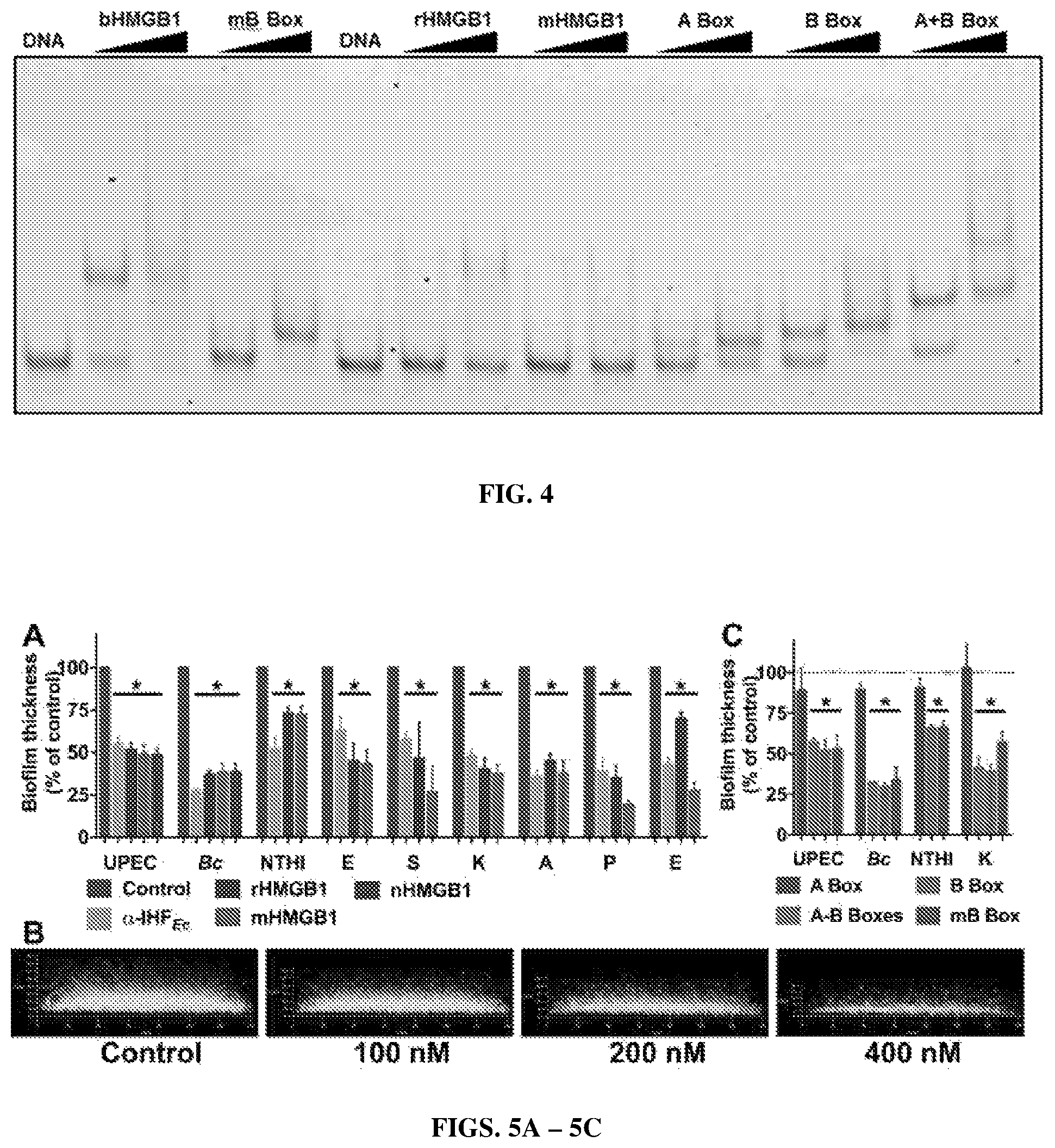 Patent US12365710 Figure 3 – HMGB1 protein derivatives for the removal of biofilms