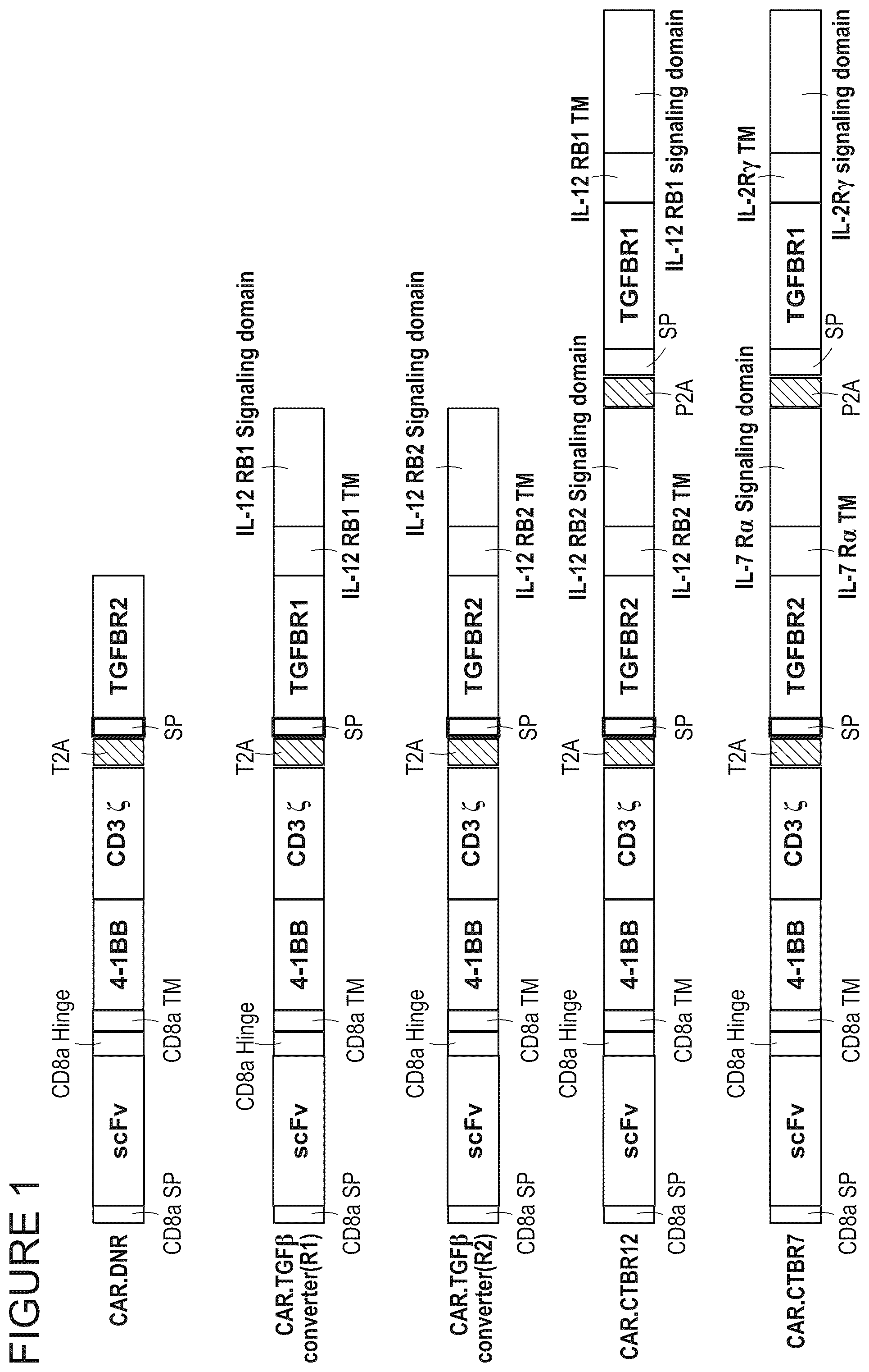 Patent US12365711 Figure 1 – TGFβ signal convertor