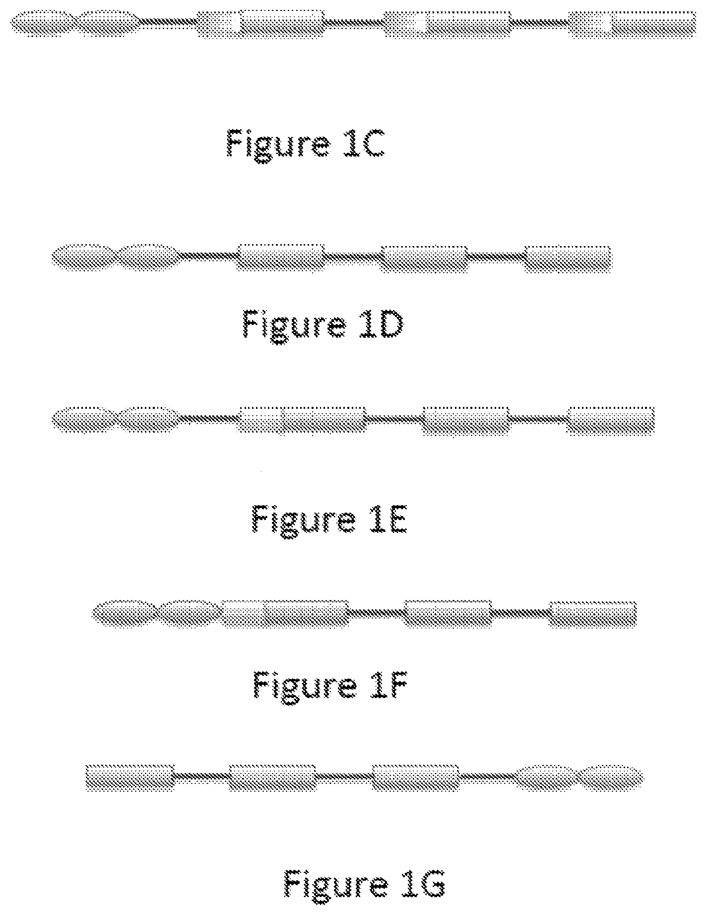 Patent US12365712 Figure 2 – Single-chain TNF Receptor 2 agonist fusion proteins