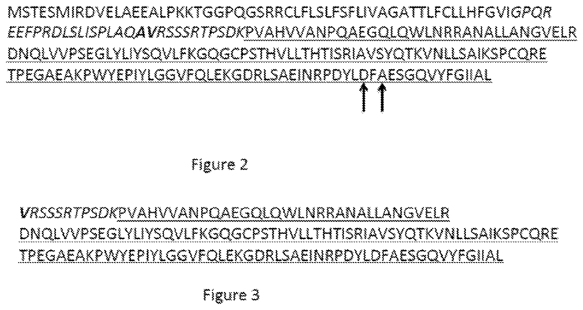 Patent US12365712 Figure 3 – Single-chain TNF Receptor 2 agonist fusion proteins