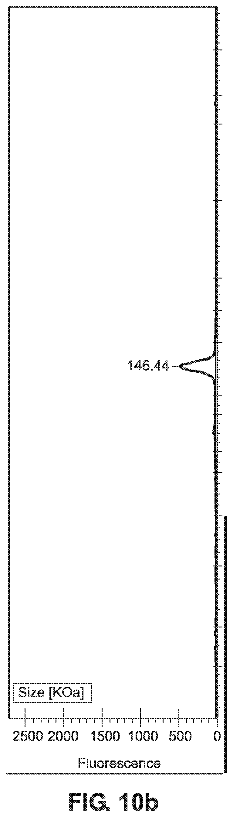 Patent US12365712 Figure 13 – Single-chain TNF Receptor 2 agonist fusion proteins