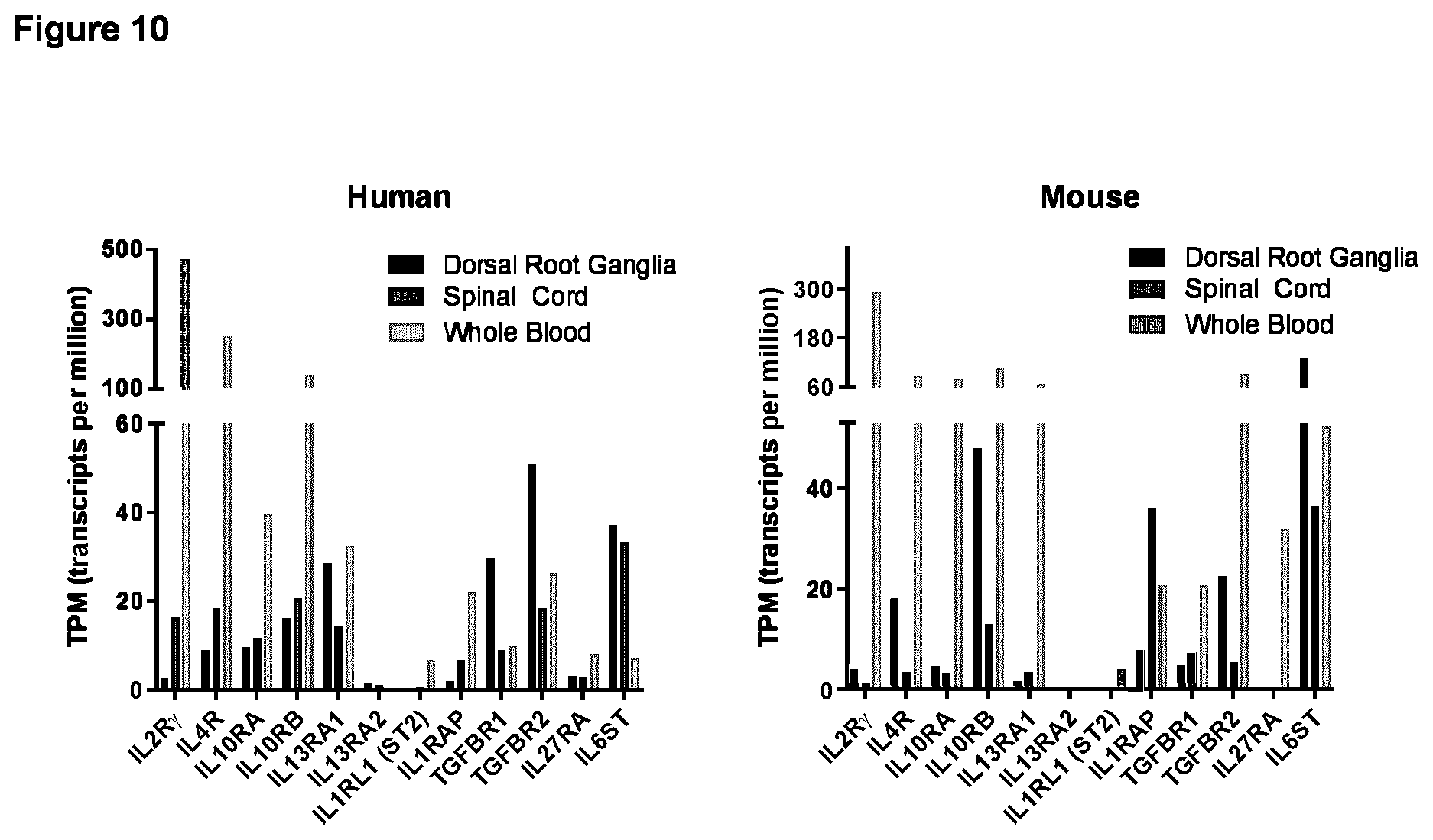 Patent US12365713 Figure 6 – Fusion protein comprising IL13