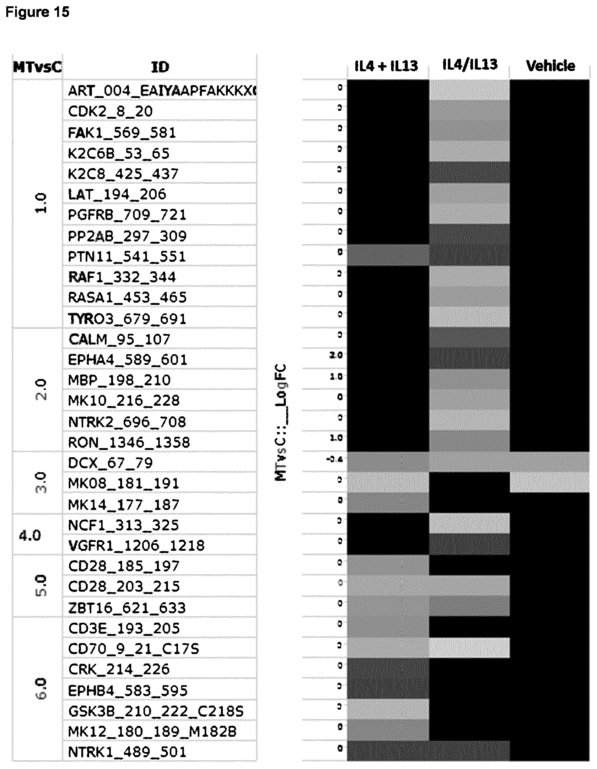 Patent US12365713 Figure 11 – Fusion protein comprising IL13