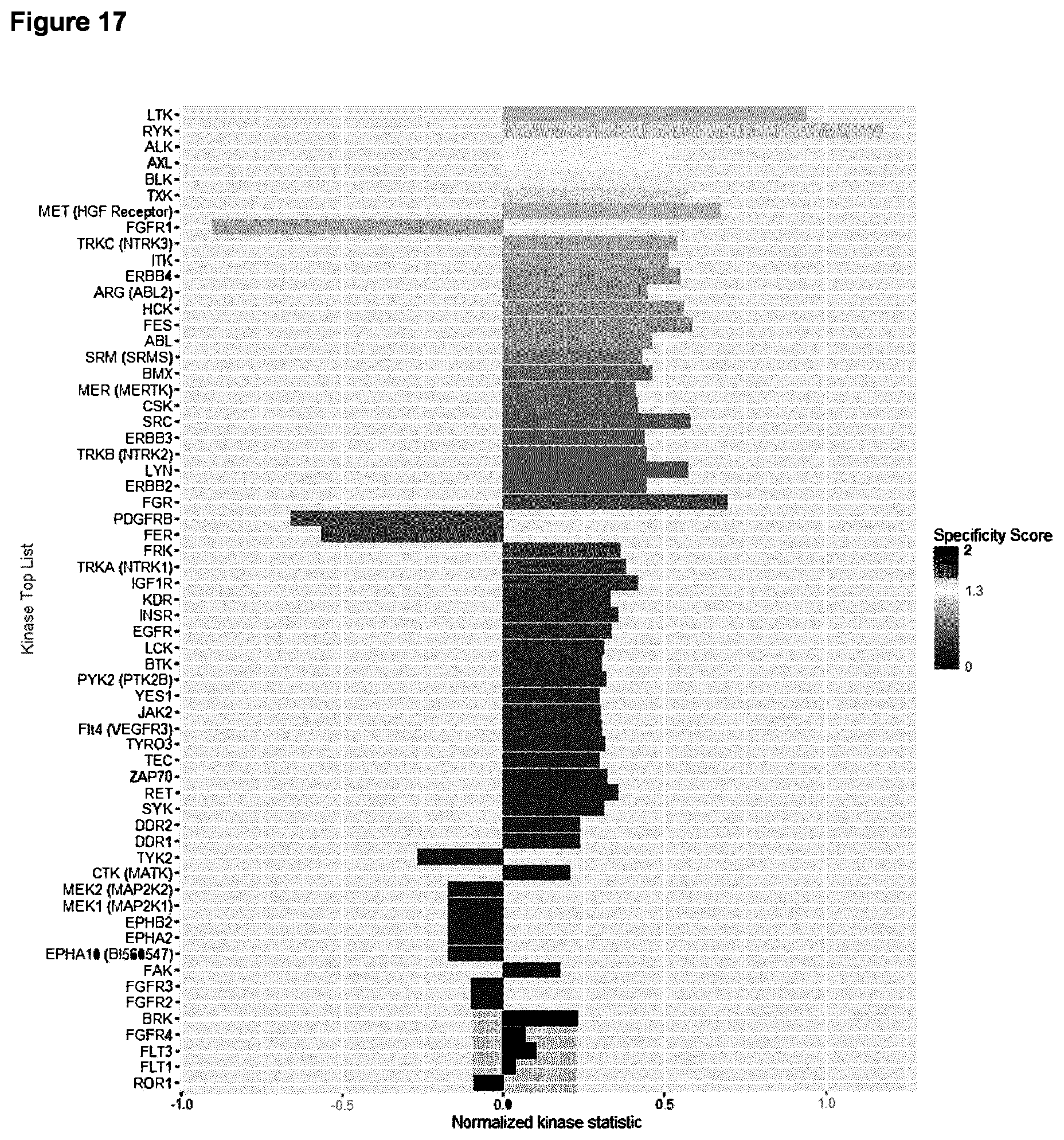Patent US12365713 Figure 13 – Fusion protein comprising IL13