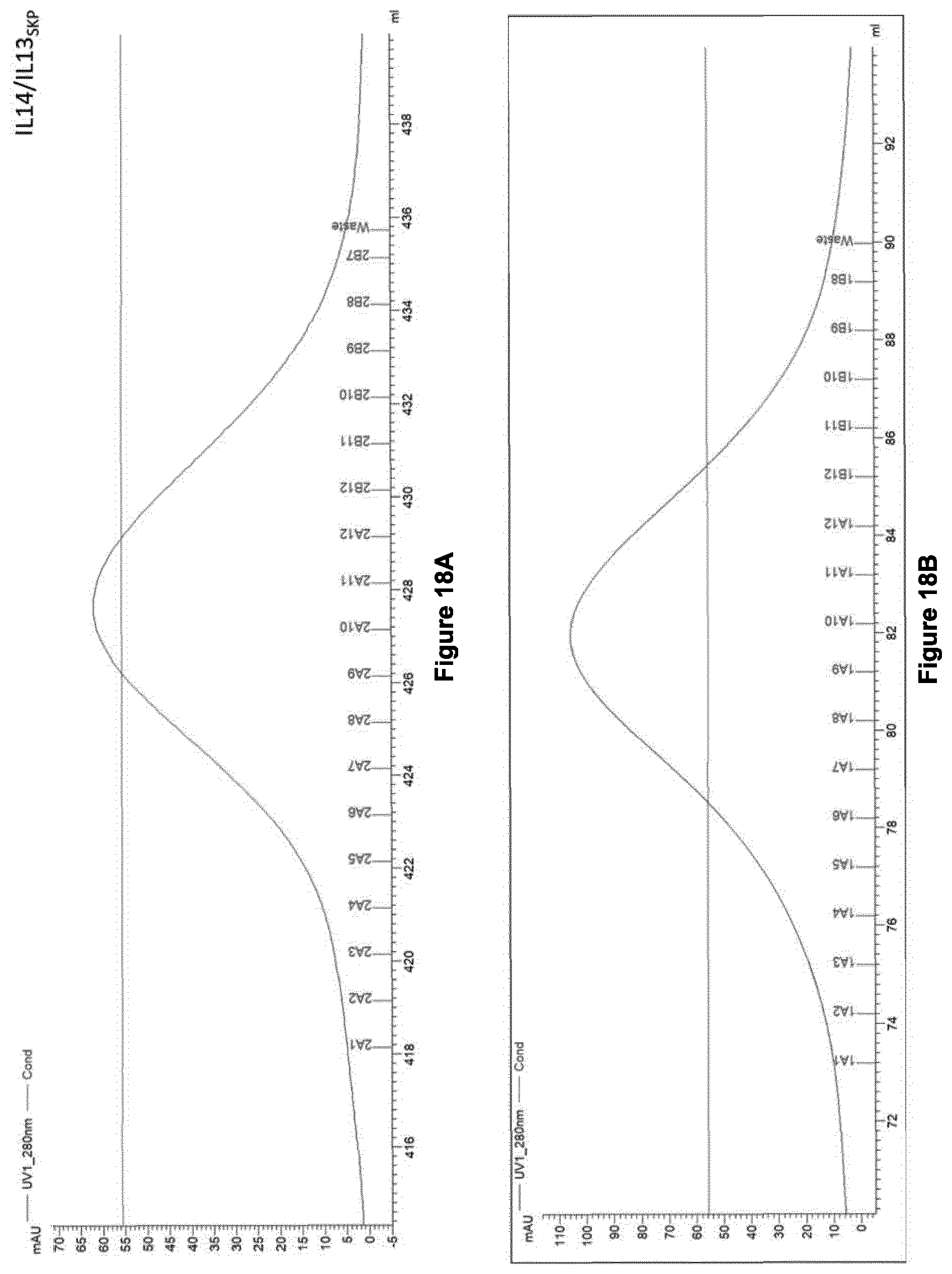 Patent US12365713 Figure 14 – Fusion protein comprising IL13