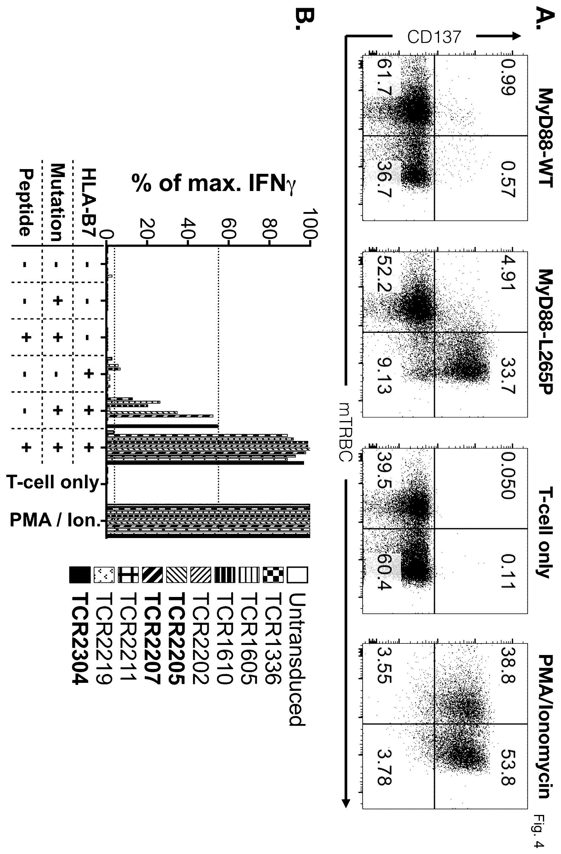 Patent US12365717 Figure 3 – Specific t cell receptors against epitopes of mutant MYD88L265P protein for adoptive T cell therapy