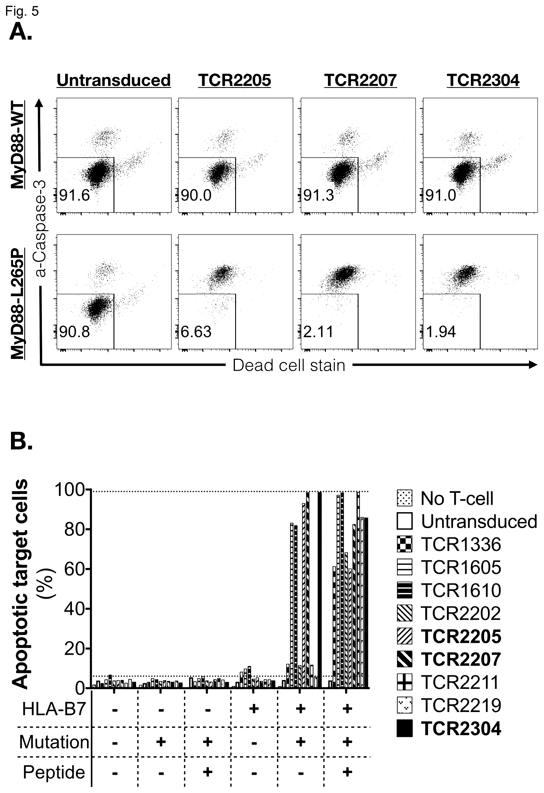 Patent US12365717 Figure 5 – Specific t cell receptors against epitopes of mutant MYD88L265P protein for adoptive T cell therapy