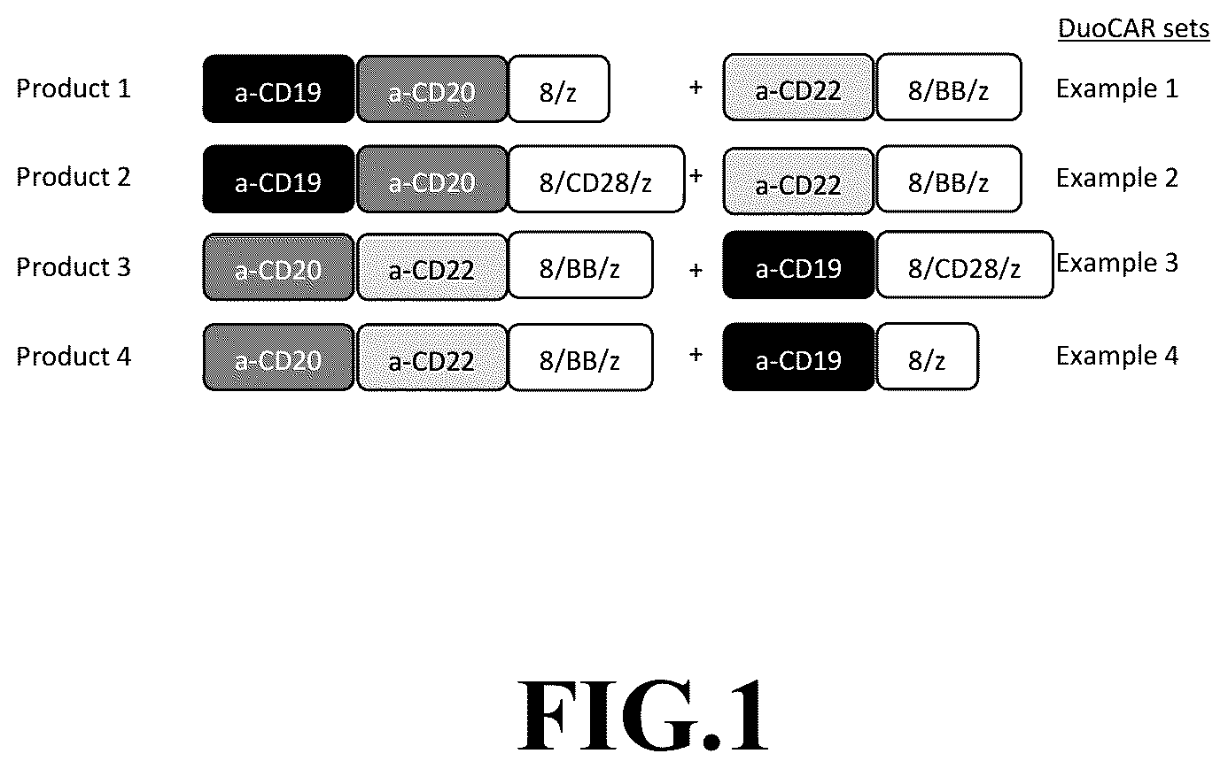 Patent US12365718 Figure 1 – Compositions and methods for treating cancer with DuoCARs
