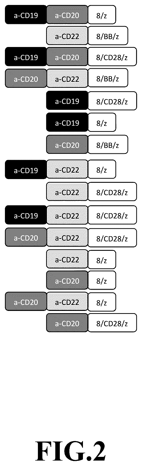 Patent US12365718 Figure 2 – Compositions and methods for treating cancer with DuoCARs