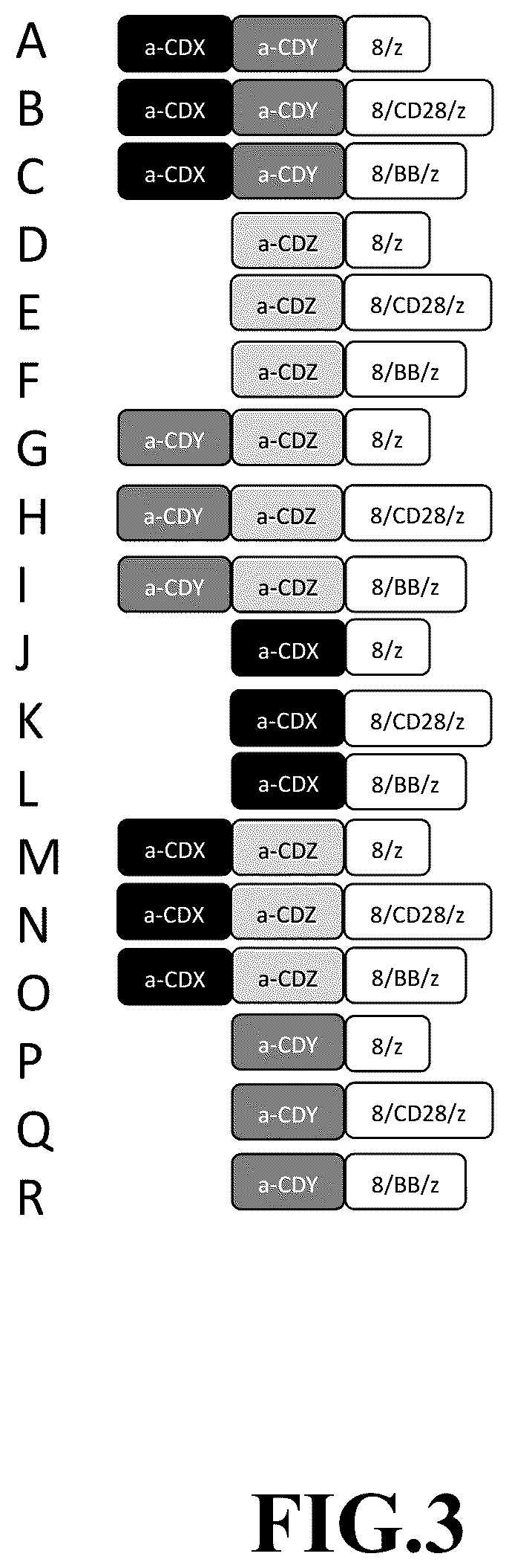 Patent US12365718 Figure 3 – Compositions and methods for treating cancer with DuoCARs