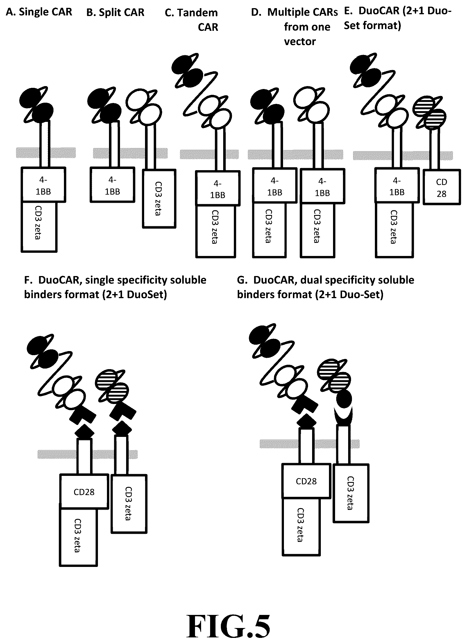 Patent US12365718 Figure 5 – Compositions and methods for treating cancer with DuoCARs