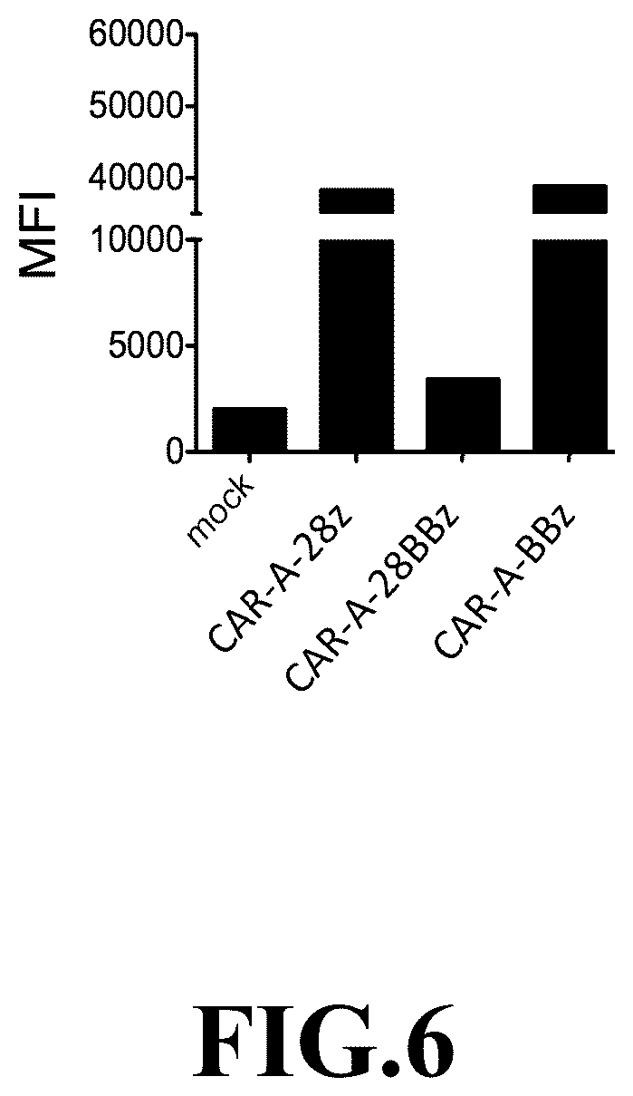 Patent US12365718 Figure 6 – Compositions and methods for treating cancer with DuoCARs