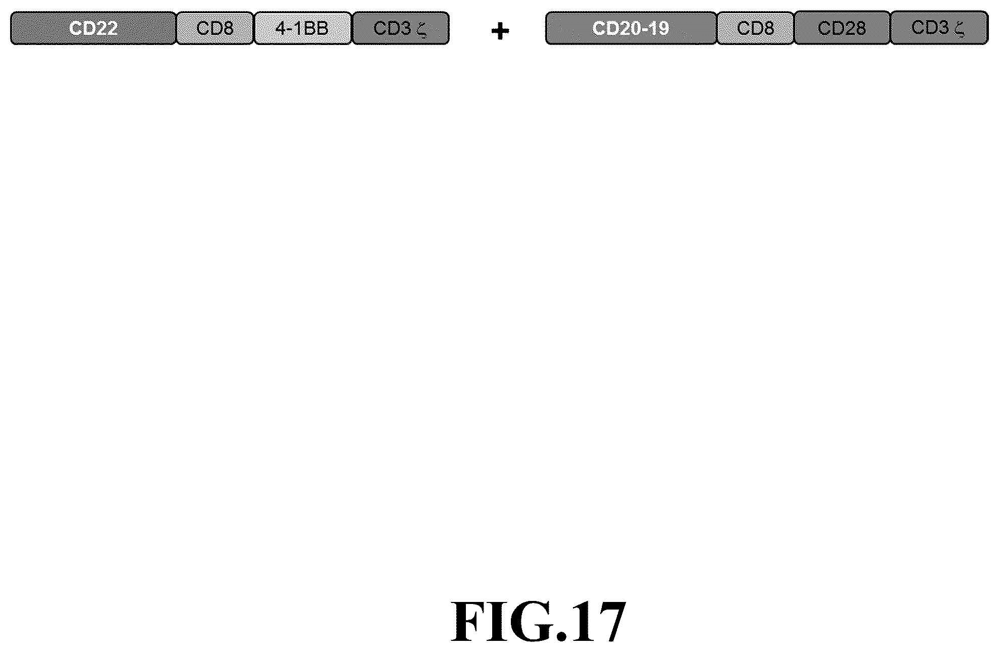 Patent US12365718 Figure 17 – Compositions and methods for treating cancer with DuoCARs