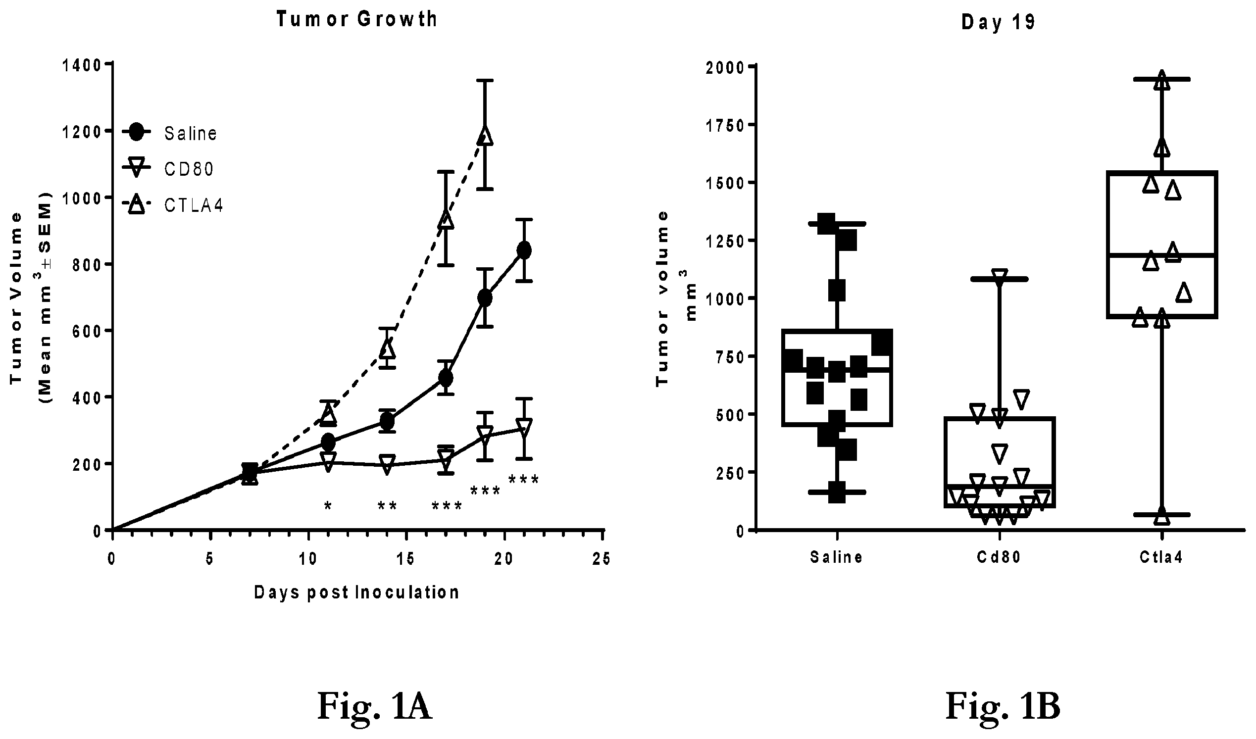 Patent US12365719 Figure 1 – CD80 extracellular domain polypeptides and their use in cancer treatment
