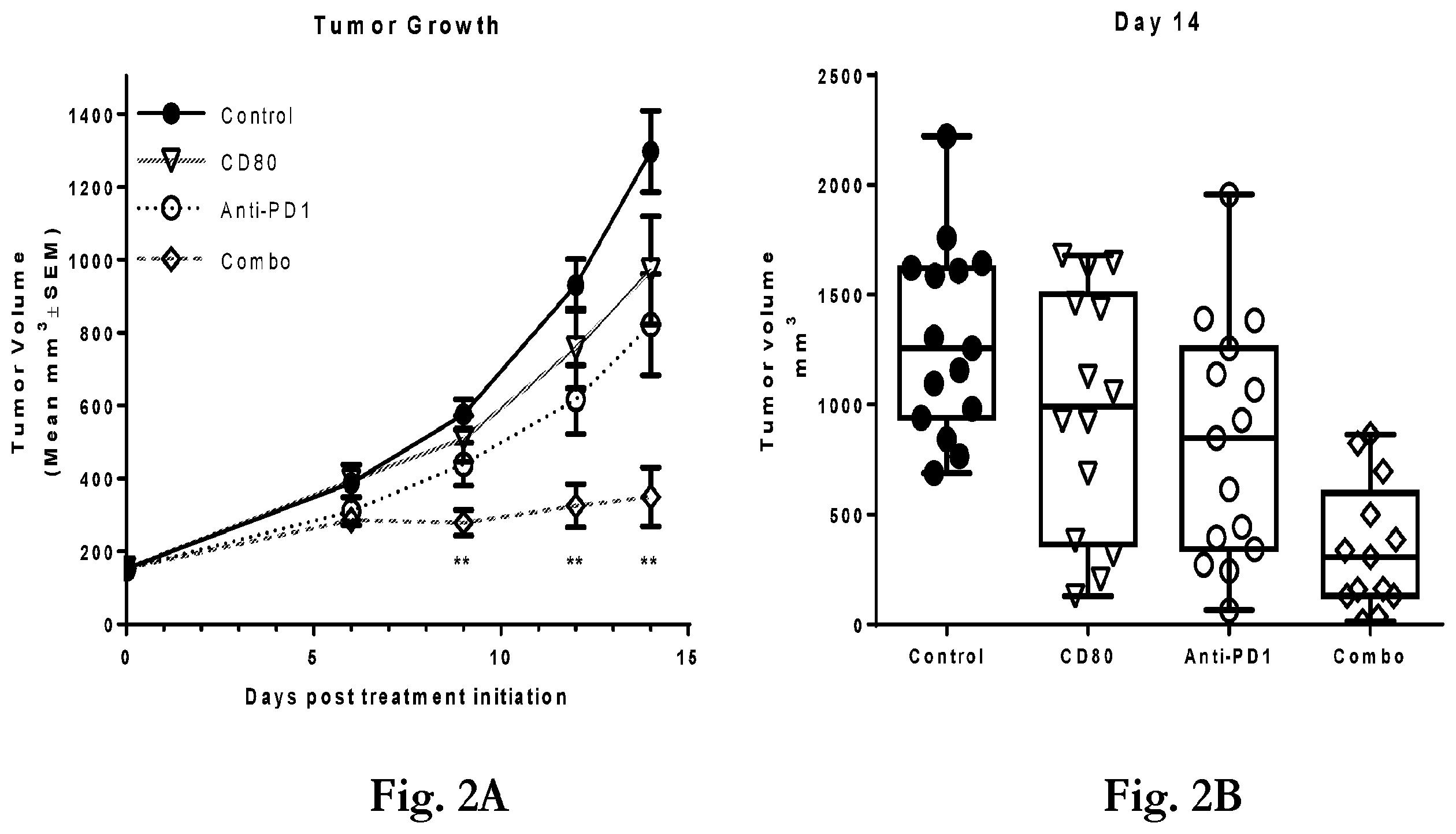 Patent US12365719 Figure 2 – CD80 extracellular domain polypeptides and their use in cancer treatment